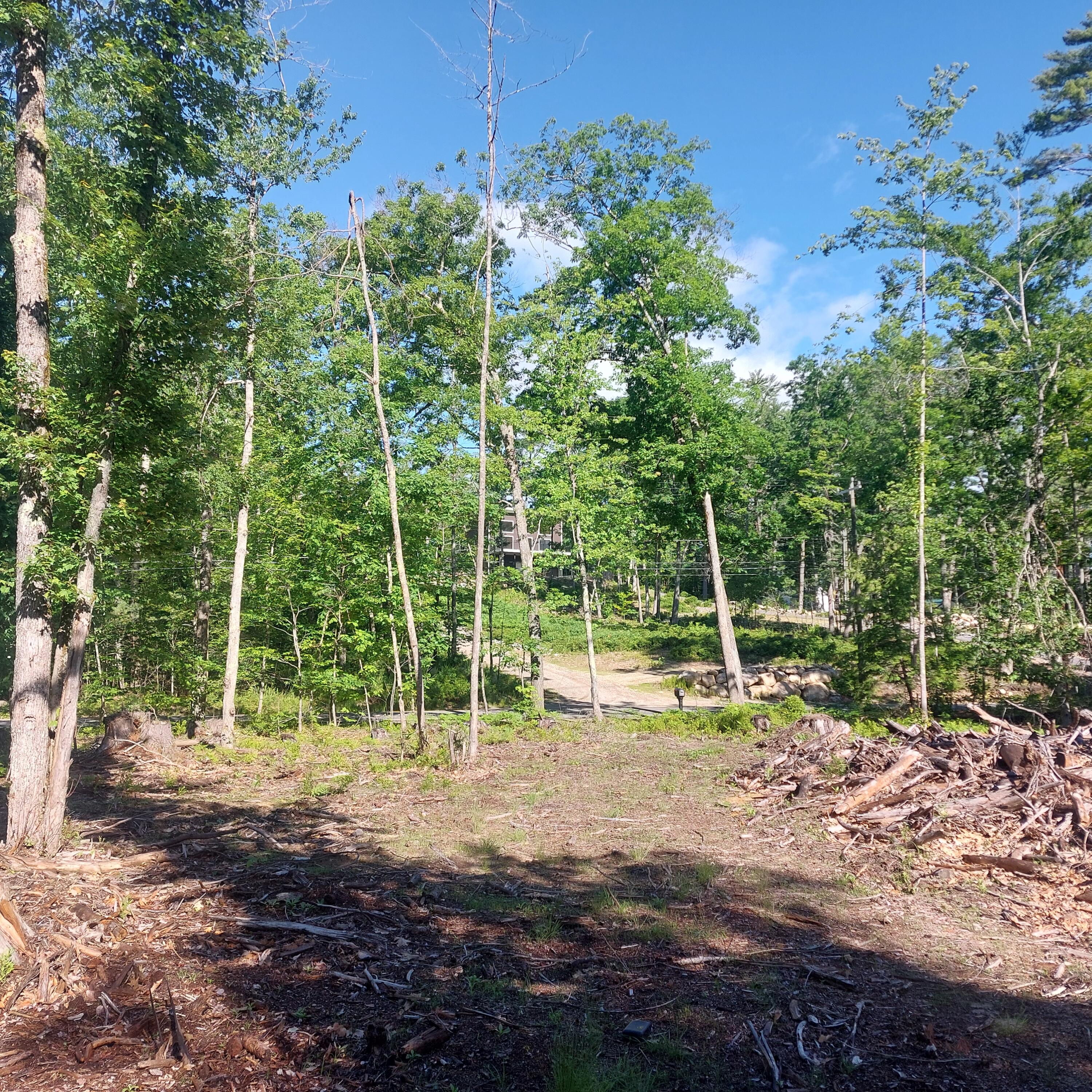 Lot 25 Sokokis Road Sebago, ME 04029 - Photo 18 of 29 20260619_083933
