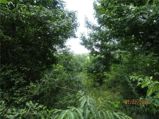 $133,500 | 0 Cold Branch, Colfax, LA 71417