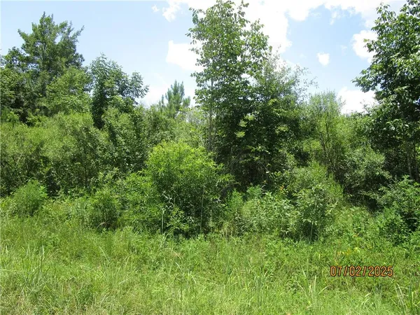 $133,500 | 0 Cold Branch, Colfax, LA 71417