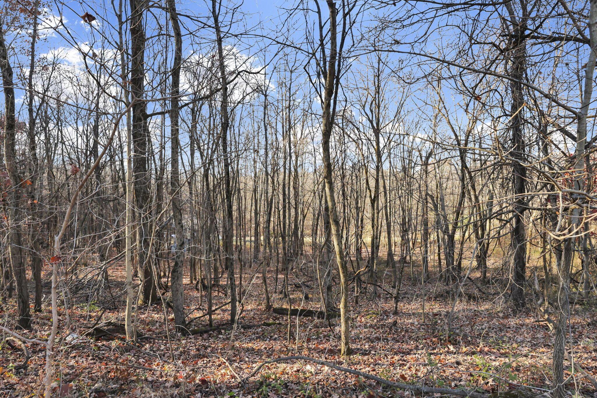0 Mulberry Road Southeast Mount Perry, OH 43760 - Photo 4 of 9 40-web-or-mls-011A9864