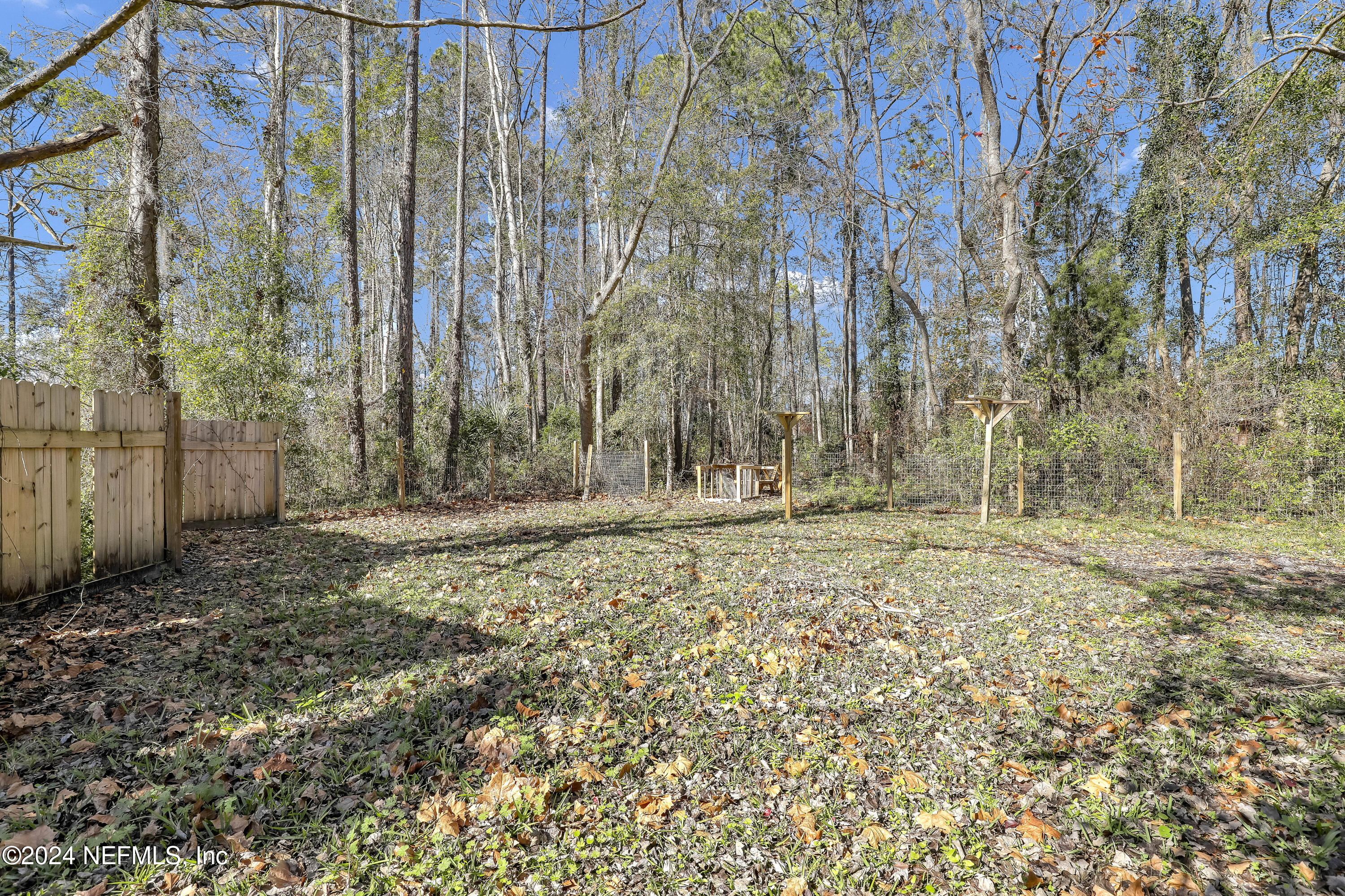 54221 Cravey Road Callahan, FL 32011 - Photo 48 of 52 46 Backyard