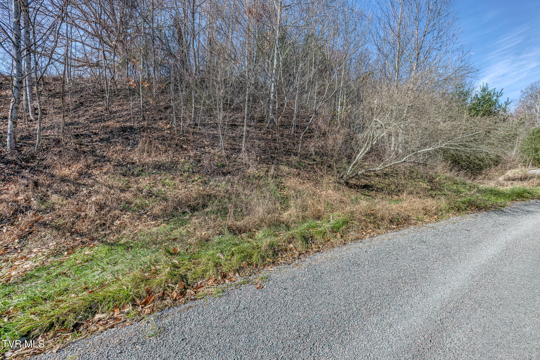 141 Canter Road Trade, TN 37691 - Photo 12 of 59 141 Canter Rd-35