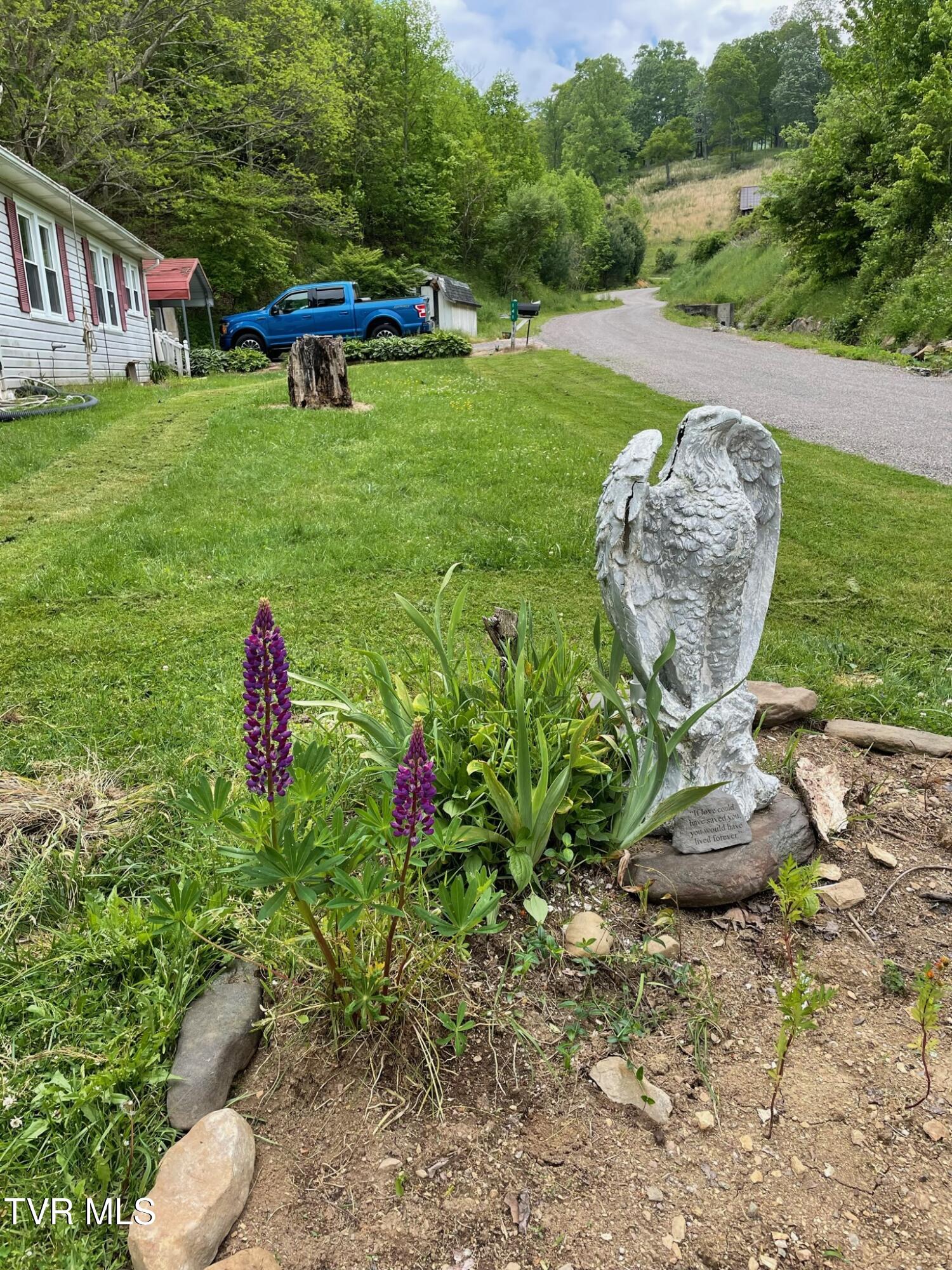 141 Canter Road Trade, TN 37691 - Photo 52 of 59 IMG_3949