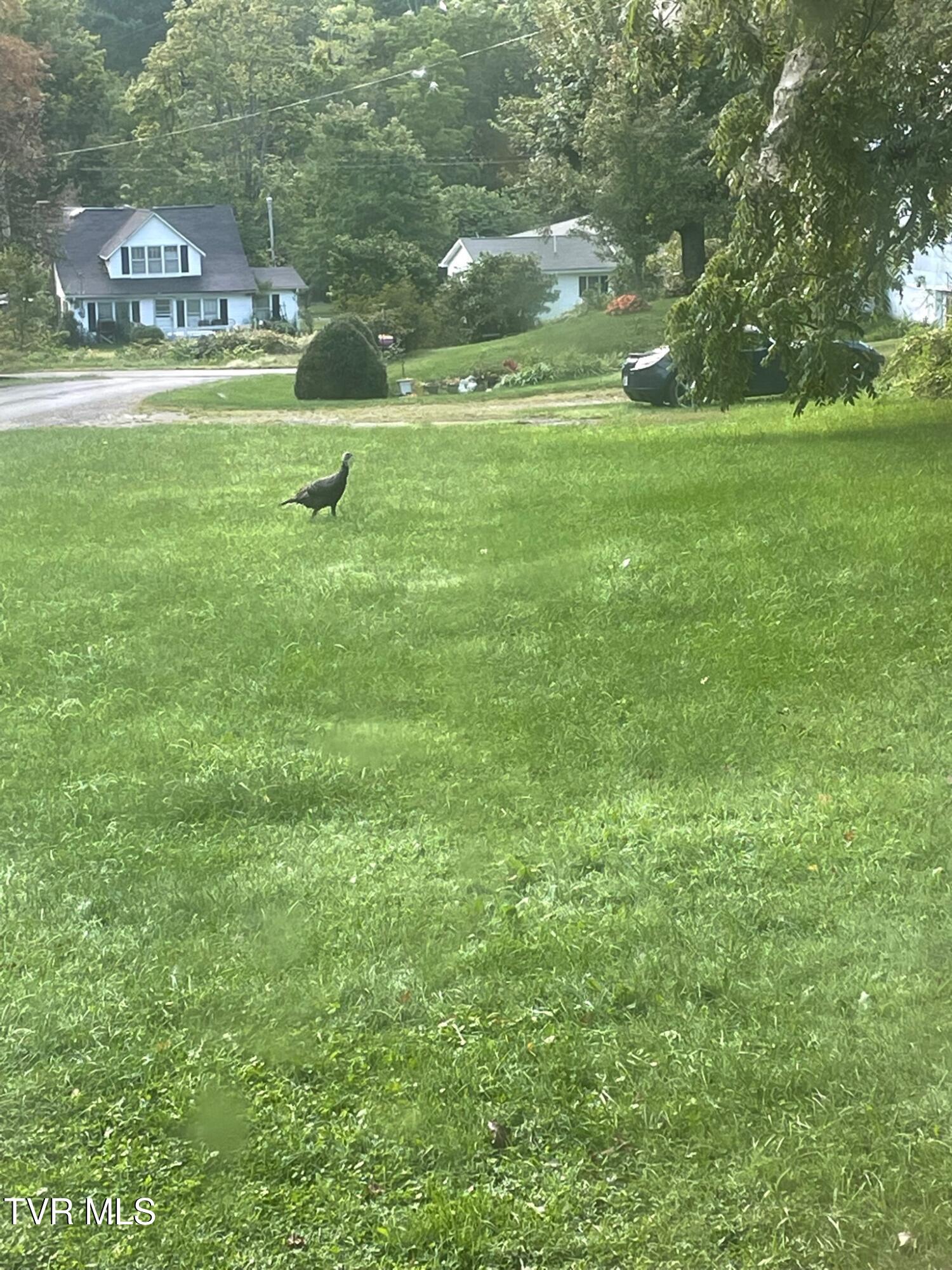 141 Canter Road Trade, TN 37691 - Photo 53 of 59 IMG_3325