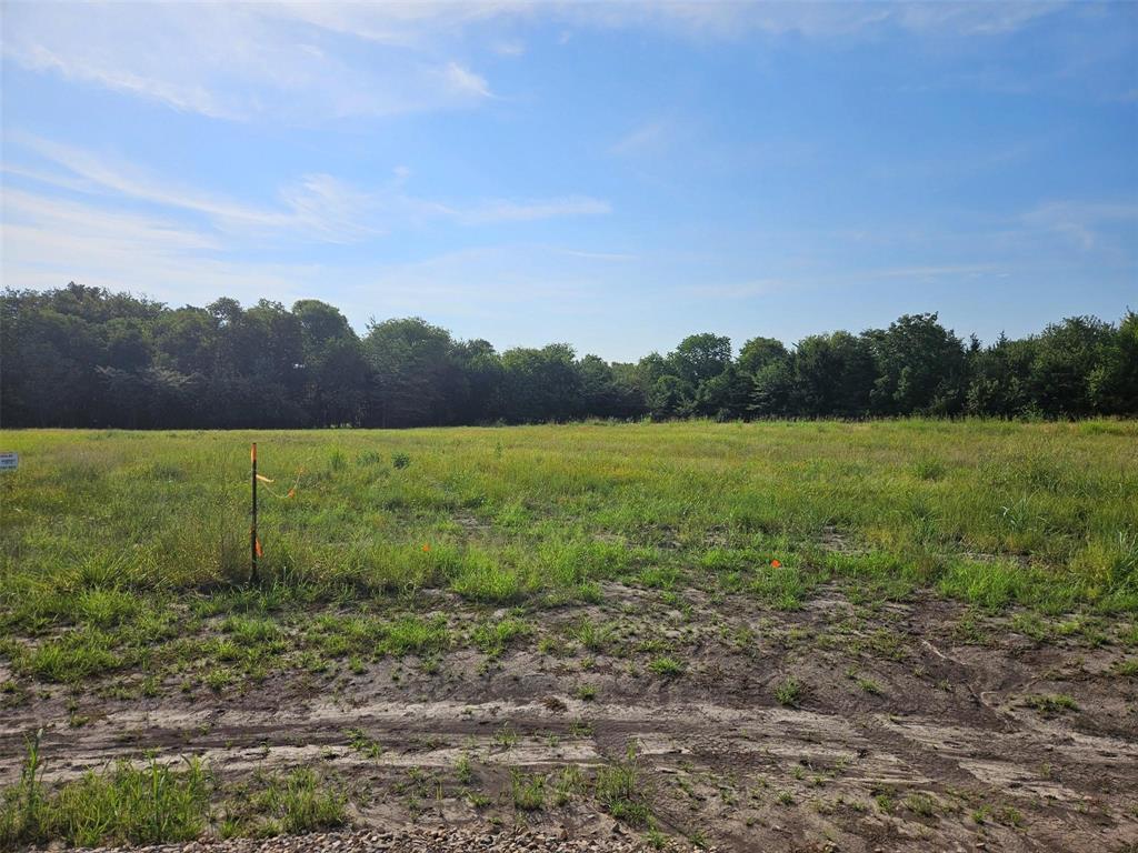 0 Hayfield Court Paris, TX 75460 - Photo 1 of 26 a view of a field with a tree in the background