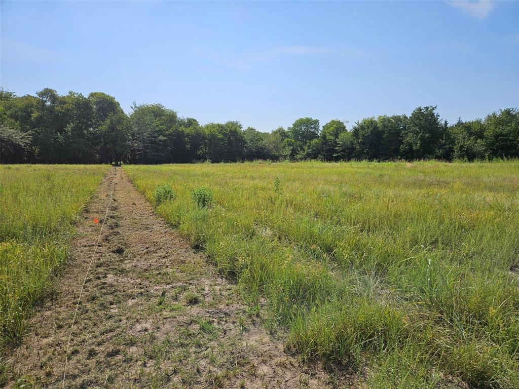 0 Hayfield Court Paris, TX 75460 - Photo 11 of 26 a view of a lake with trees in the background