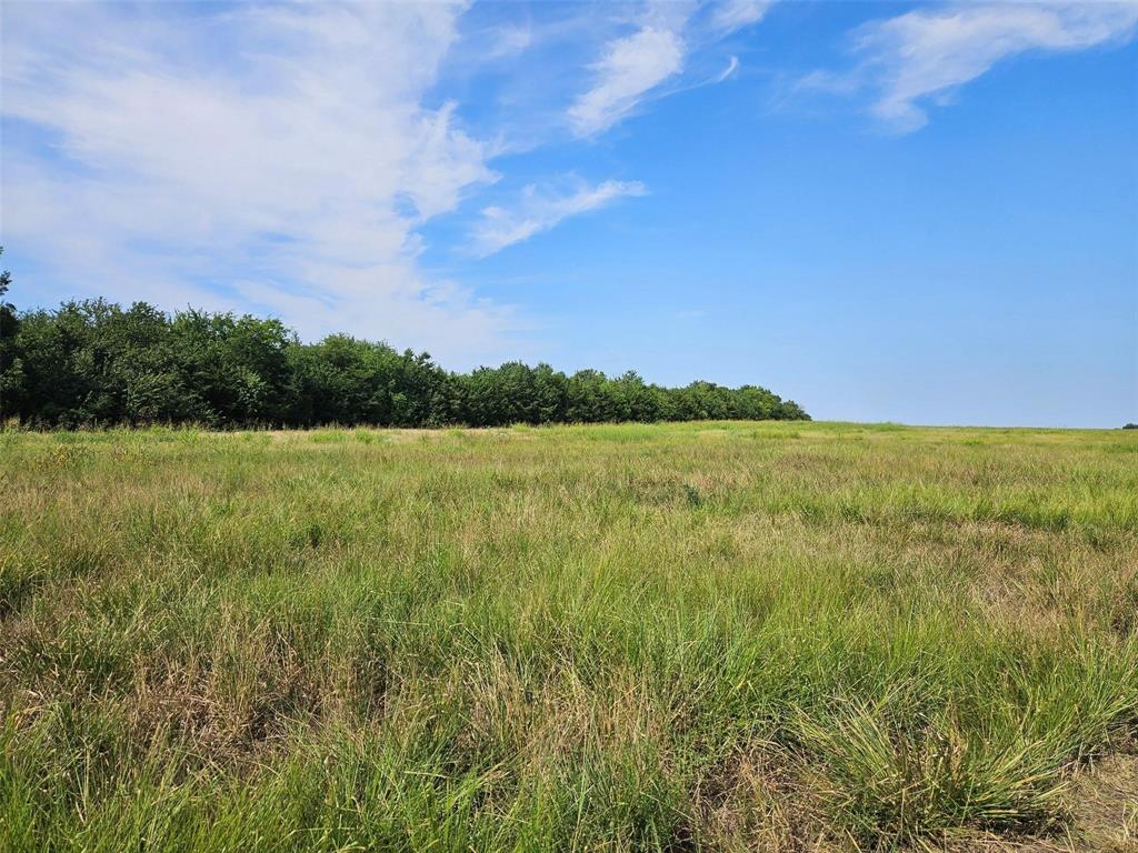 0 Hayfield Court Paris, TX 75460 - Photo 13 of 26 a view of a field with an ocean