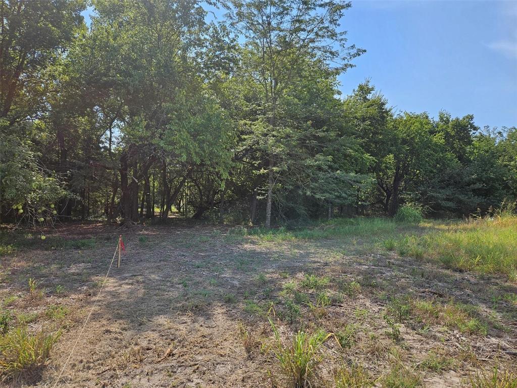 0 Hayfield Court Paris, TX 75460 - Photo 14 of 26 a view of a forest with trees in the background