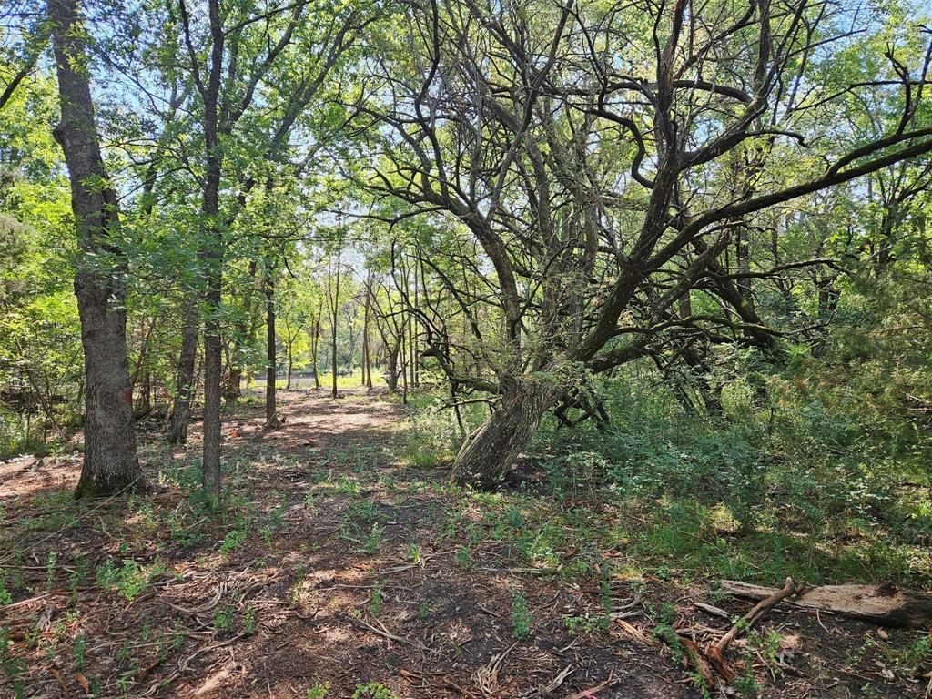 0 Hayfield Court Paris, TX 75460 - Photo 15 of 26 a view of backyard with green space
