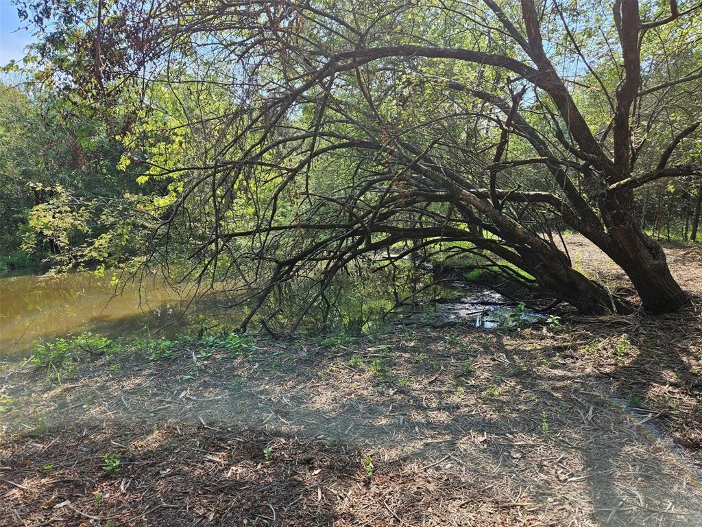 0 Hayfield Court Paris, TX 75460 - Photo 19 of 26 a view of a yard with a tree