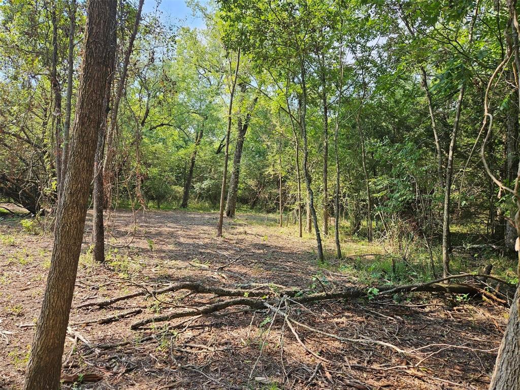 0 Hayfield Court Paris, TX 75460 - Photo 20 of 26 a backyard of a house with lots of green space
