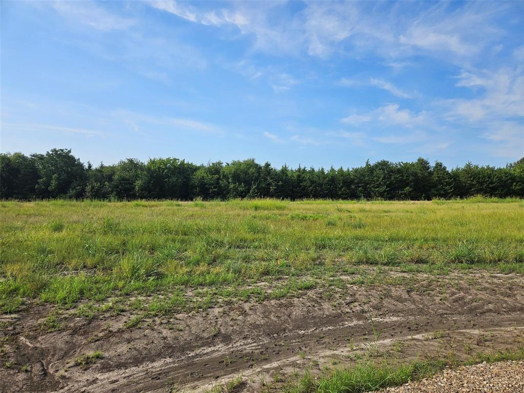 0 Hayfield Court Paris, TX 75460 - Photo 2 of 26 a view of a field with an ocean