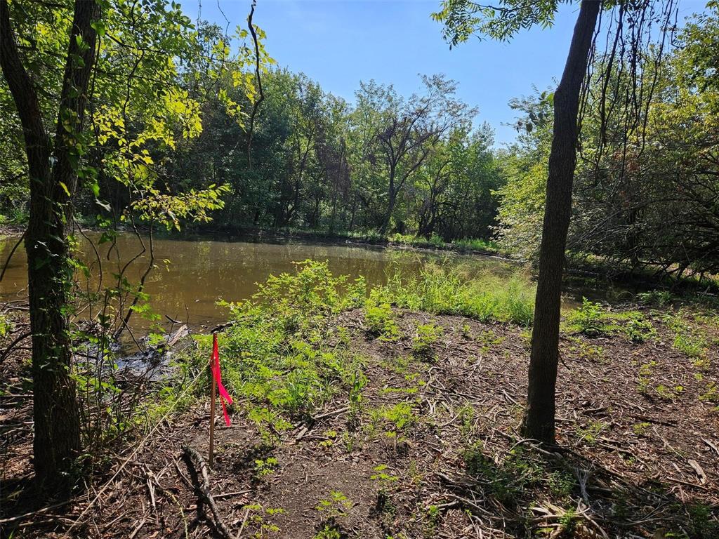 0 Hayfield Court Paris, TX 75460 - Photo 21 of 26 a view of a yard with a tree