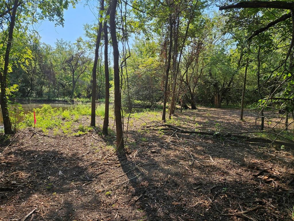 0 Hayfield Court Paris, TX 75460 - Photo 22 of 26 a view of a yard with trees