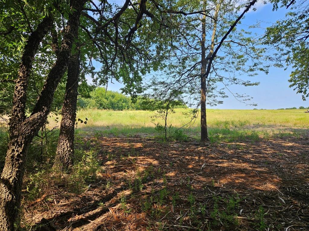 0 Hayfield Court Paris, TX 75460 - Photo 23 of 26