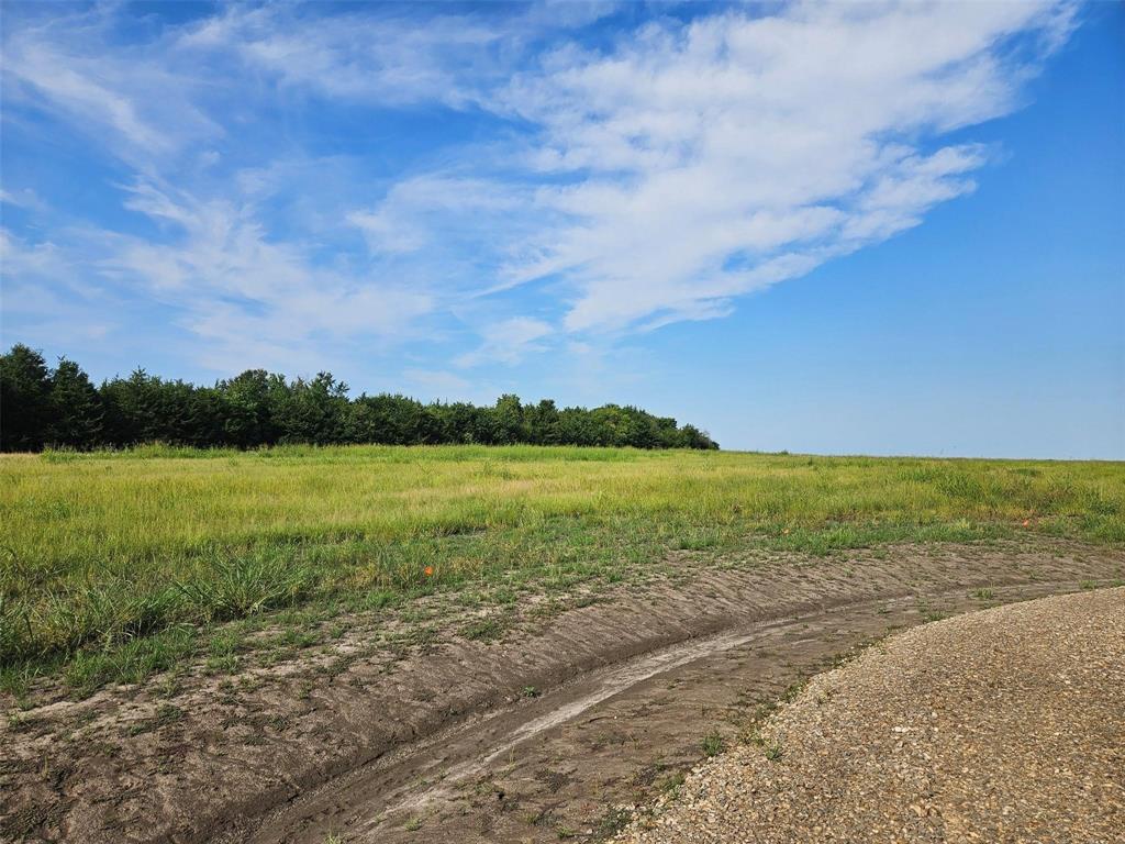 0 Hayfield Court Paris, TX 75460 - Photo 3 of 26 a view of a lake from a yard