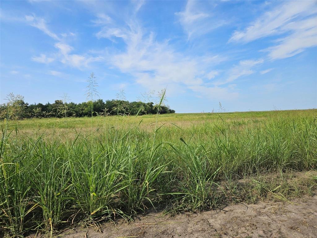 0 Hayfield Court Paris, TX 75460 - Photo 6 of 26 a view of a lake with houses in the back