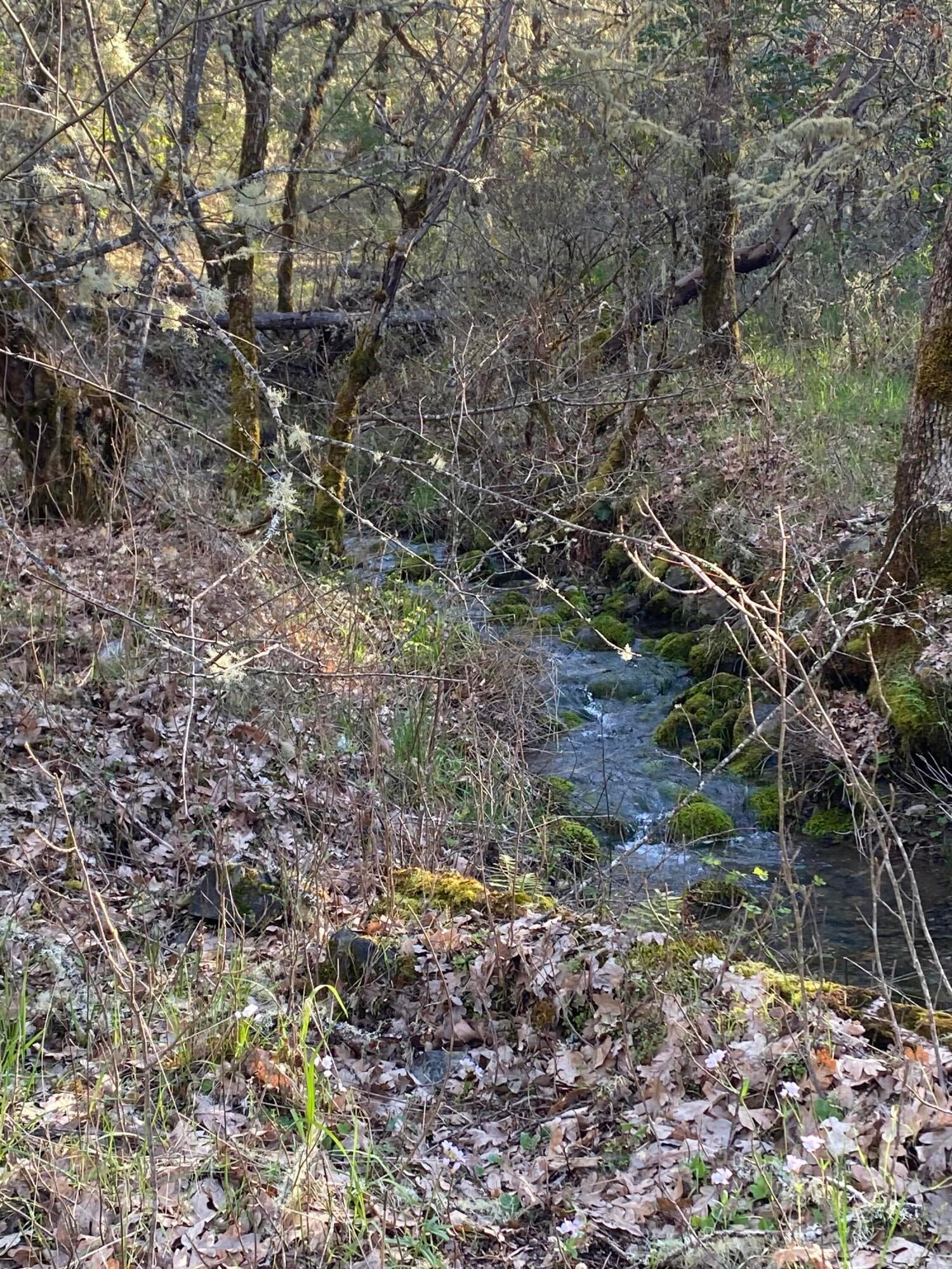 845 Hyde Park Road Grants Pass, OR 97527 - Photo 15 of 49 IMG_5986