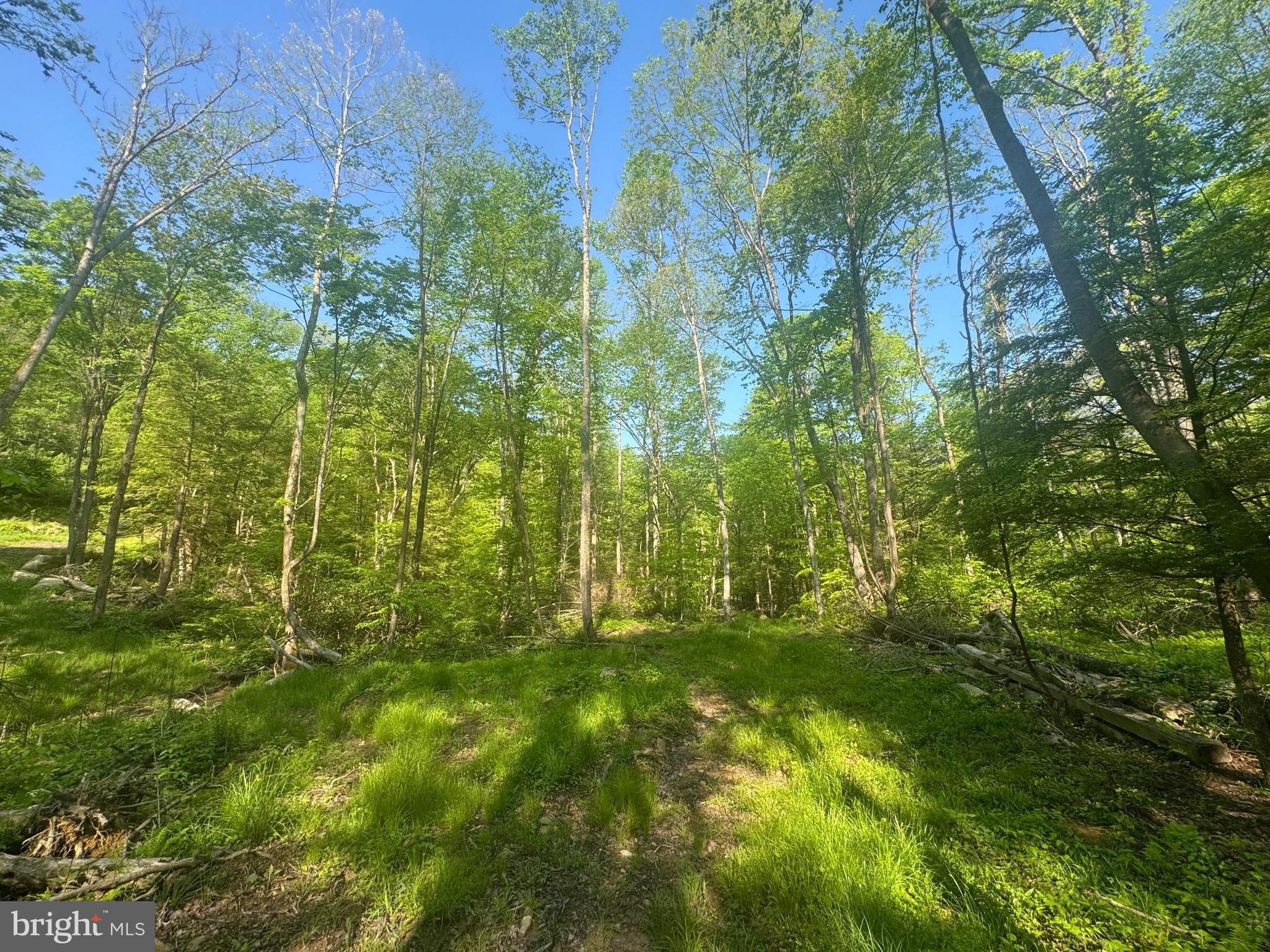 Tract B John Orr Road Independence, WV 26374 - Photo 20 of 30