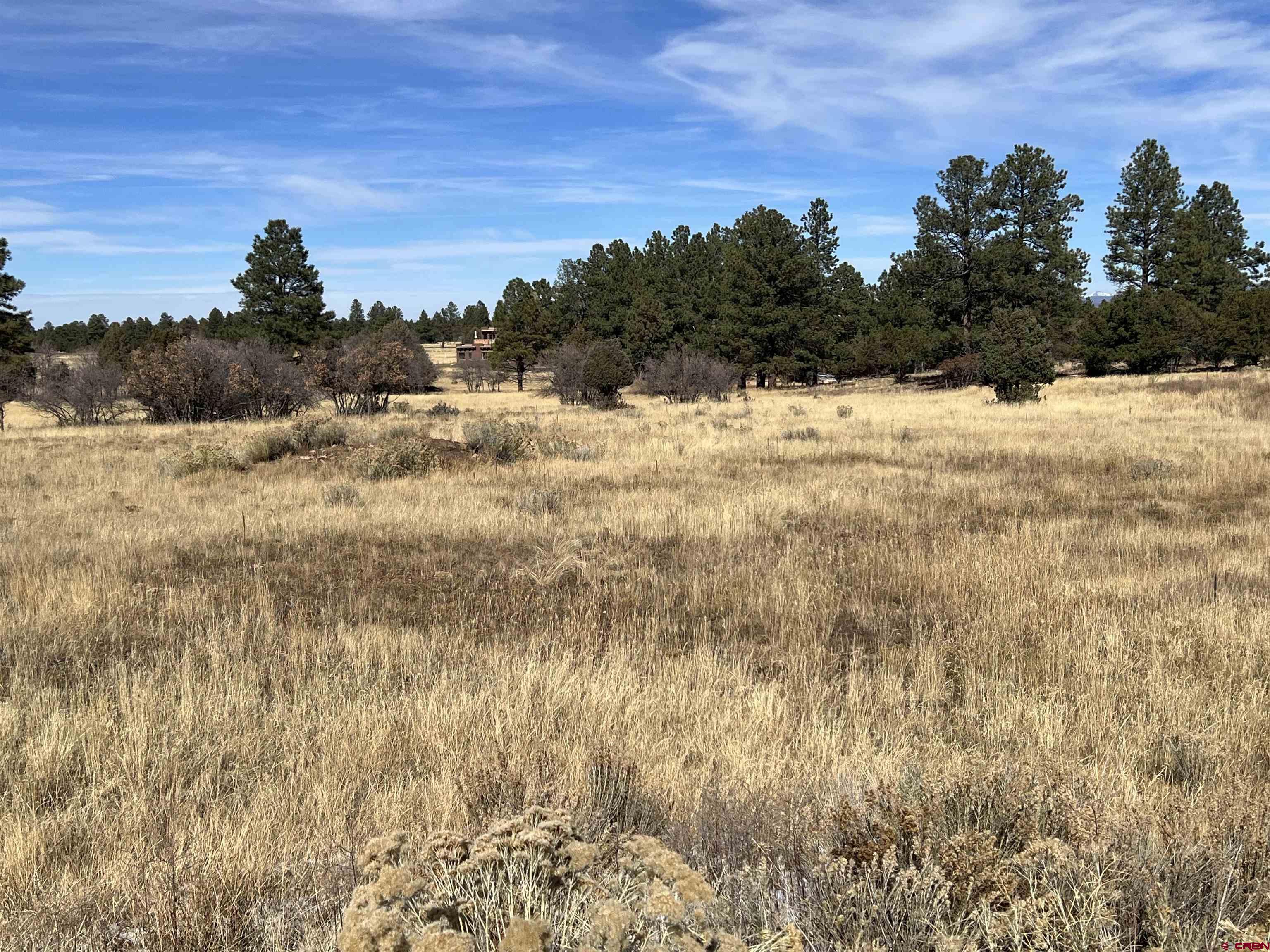 Lot 328 Bear Cub Drive Ridgway, CO 81432 - Photo 11 of 24 a view of a yard covered with snow in front of house