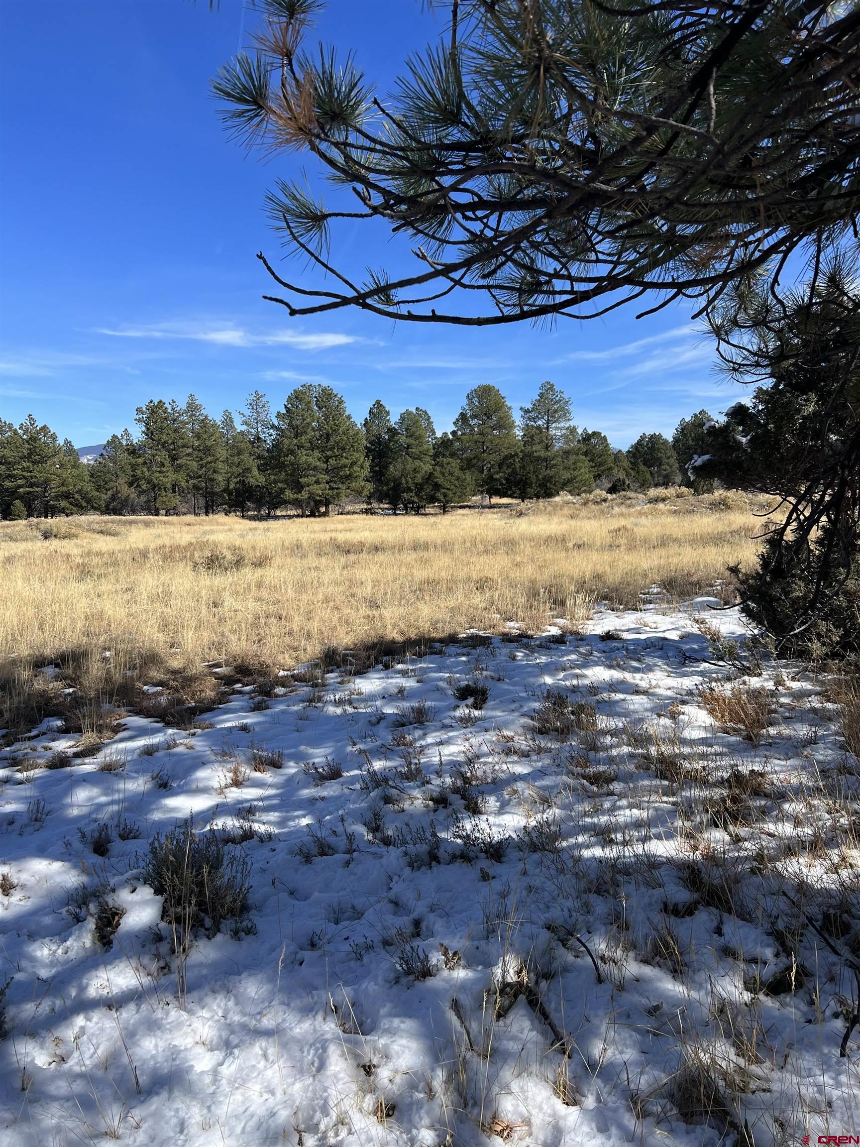 Lot 328 Bear Cub Drive Ridgway, CO 81432 - Photo 12 of 24 a view of lake view and mountain view