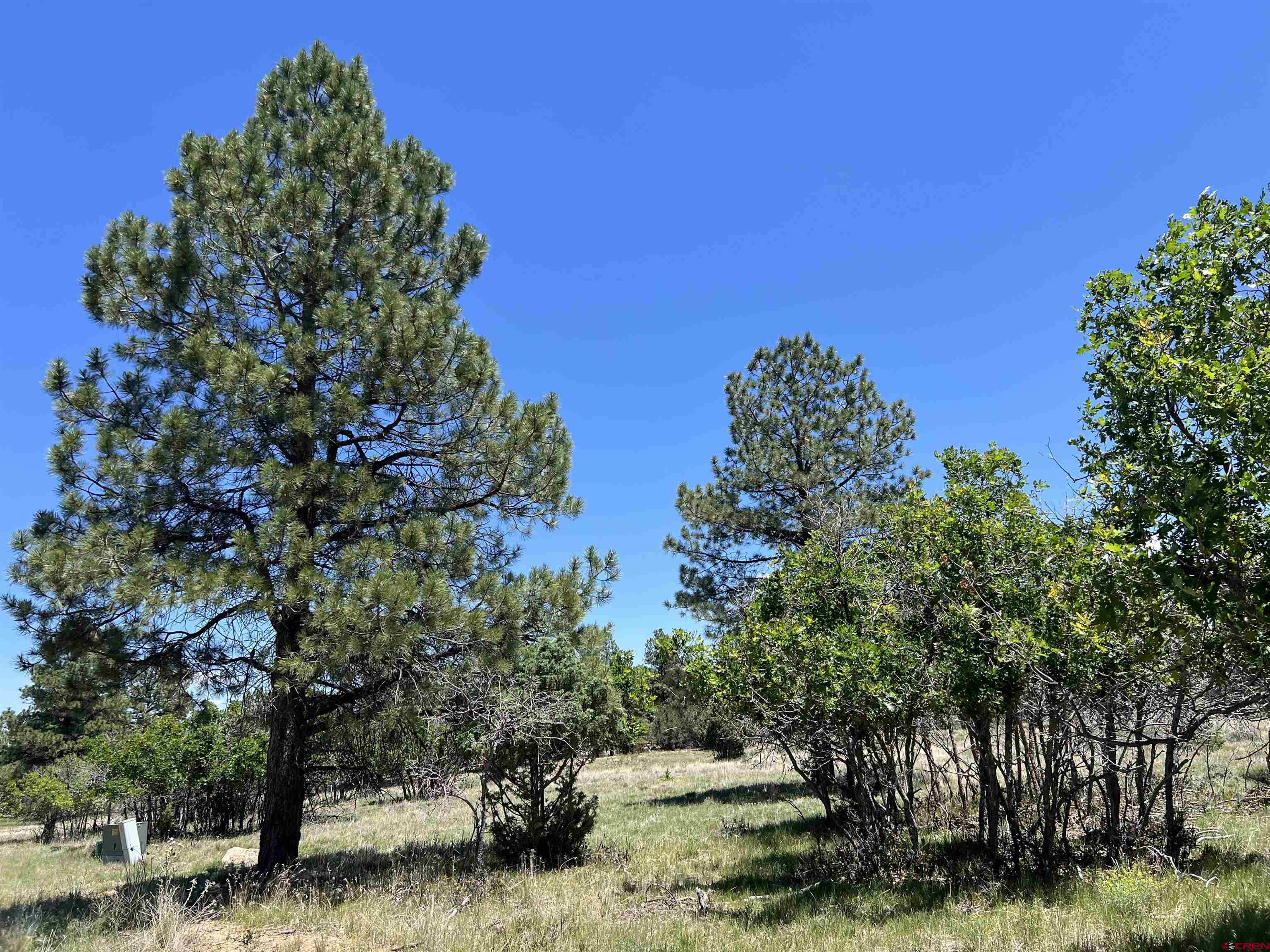 Lot 328 Bear Cub Drive Ridgway, CO 81432 - Photo 16 of 24 a backyard of a house with lots of green space
