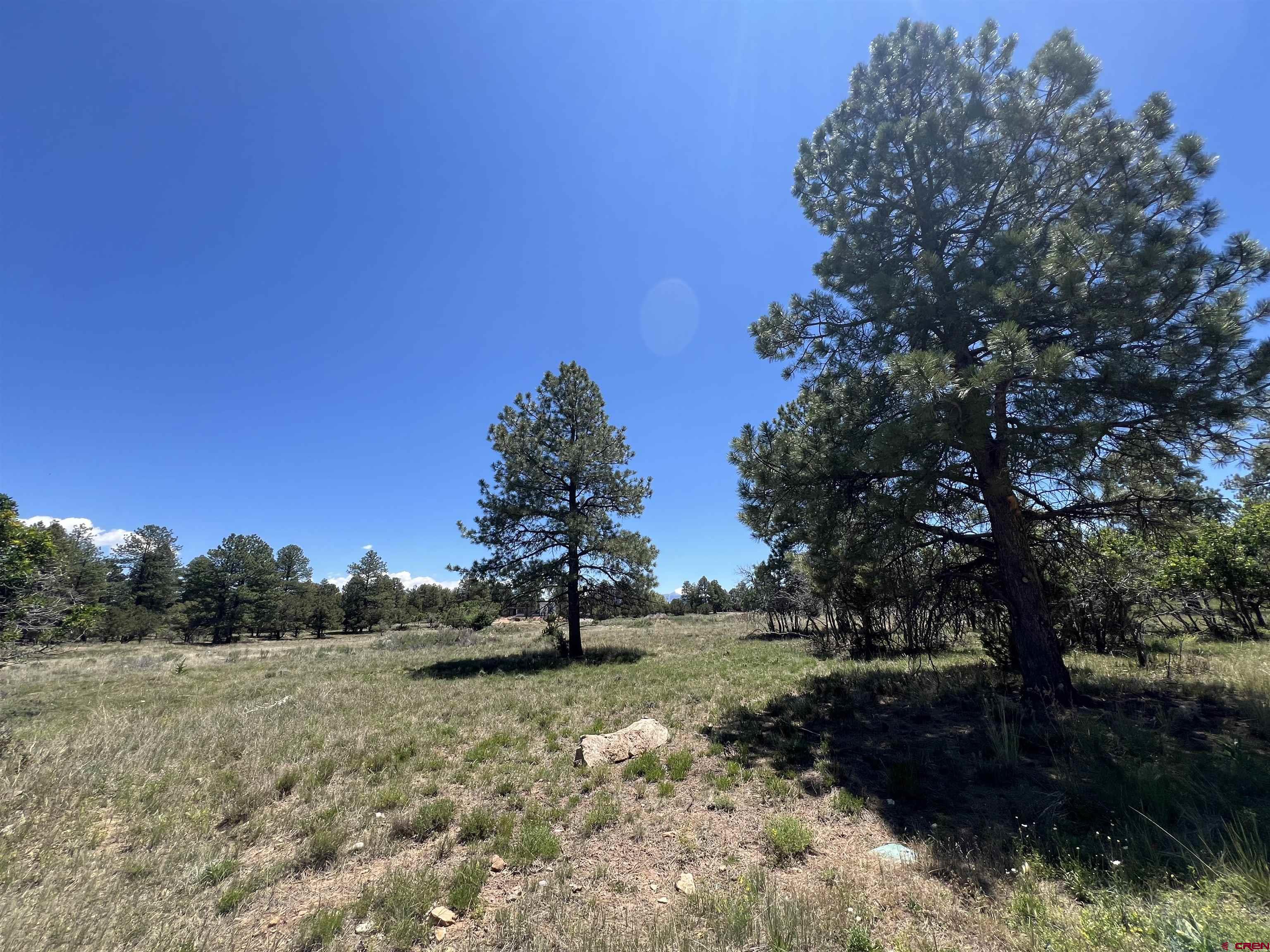 328 Bear Cub Drive Ridgway, CO 81432 - Photo 20 of 24 a view of backyard with green space