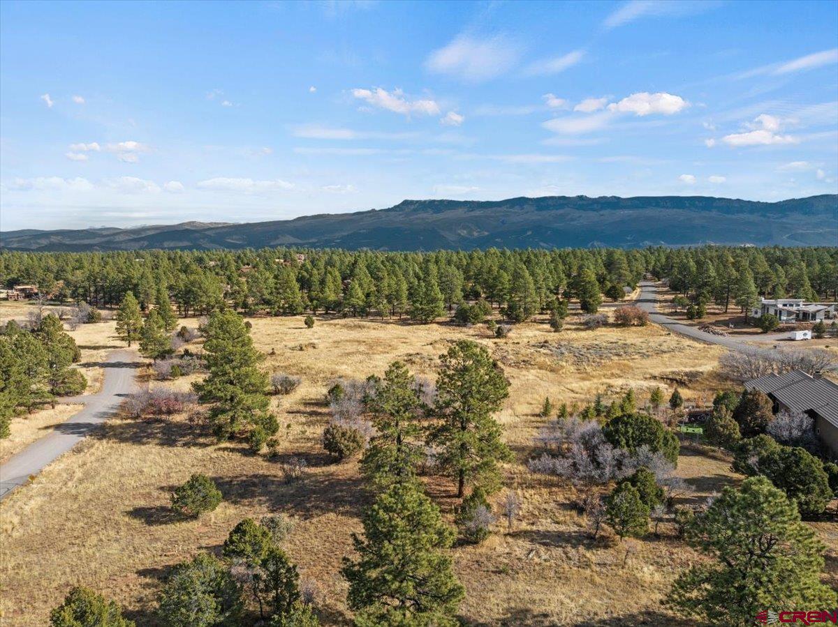 Lot 328 Bear Cub Drive Ridgway, CO 81432 - Photo 20 of 24 a view of ocean view