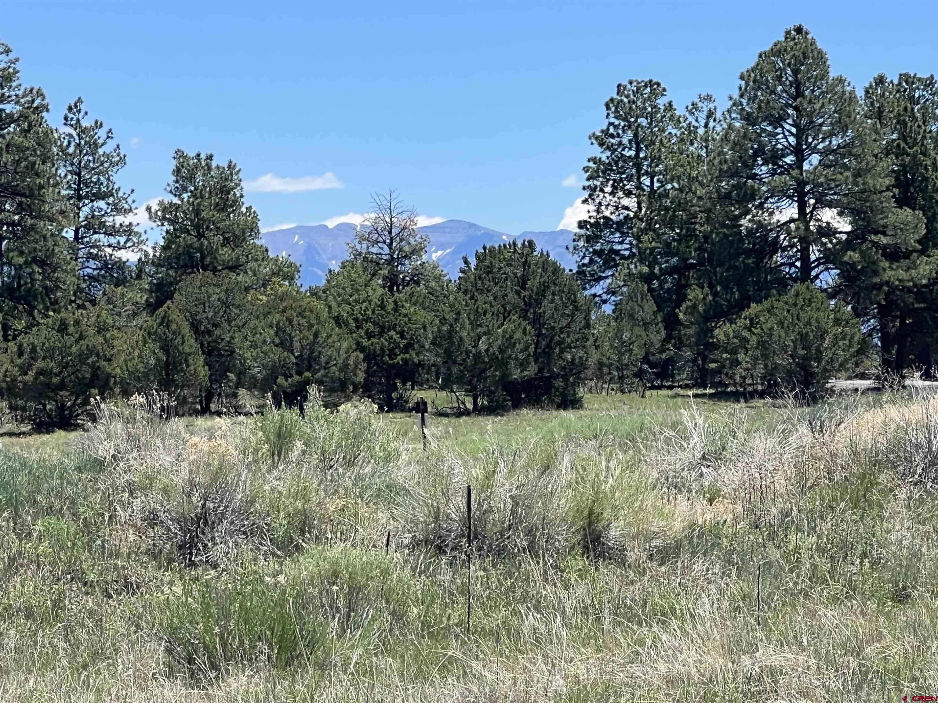 328 Bear Cub Drive Ridgway, CO 81432 - Photo 22 of 24 a view of a yard