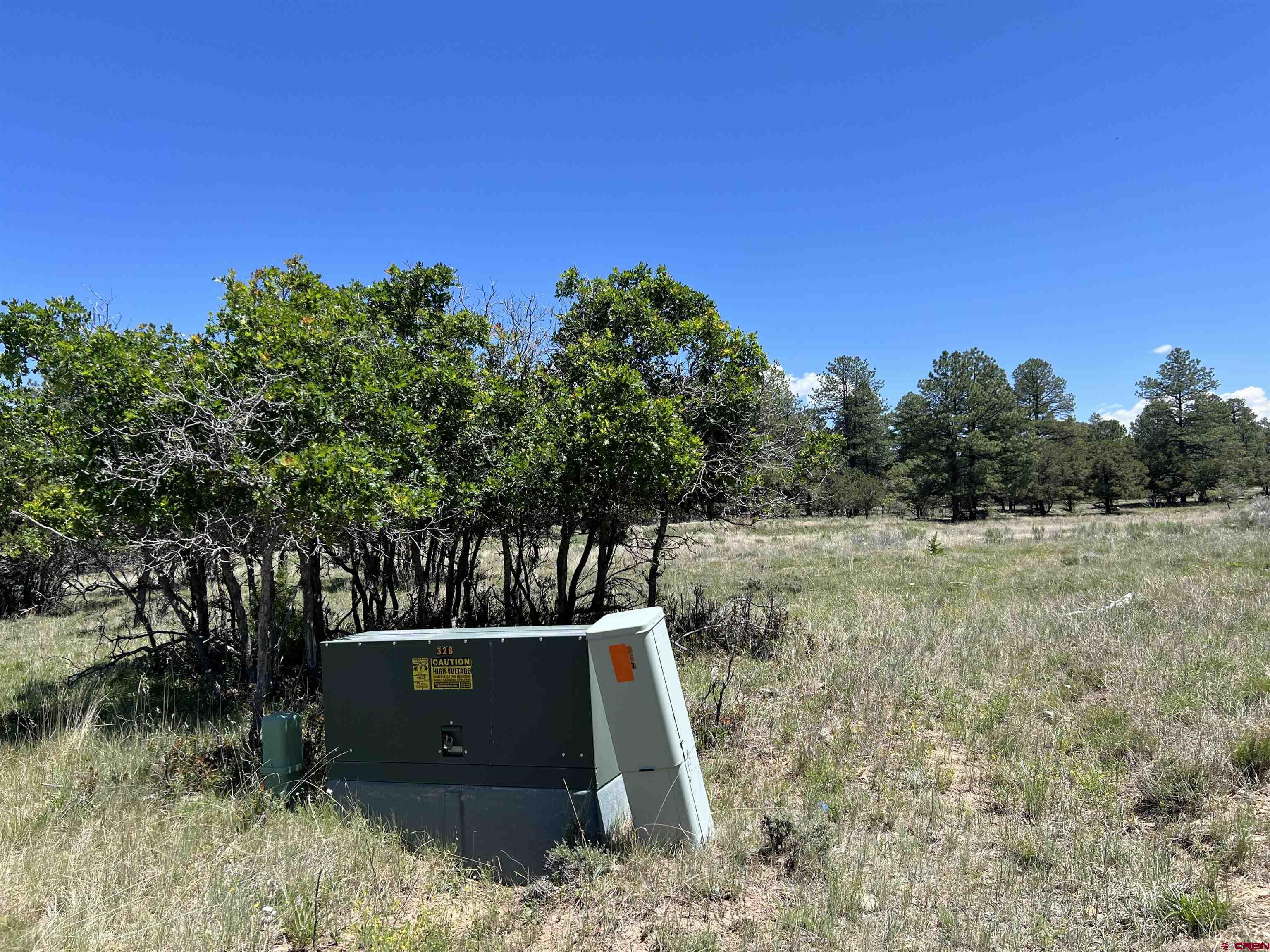 328 Bear Cub Drive Ridgway, CO 81432 - Photo 24 of 24 a view of a yard