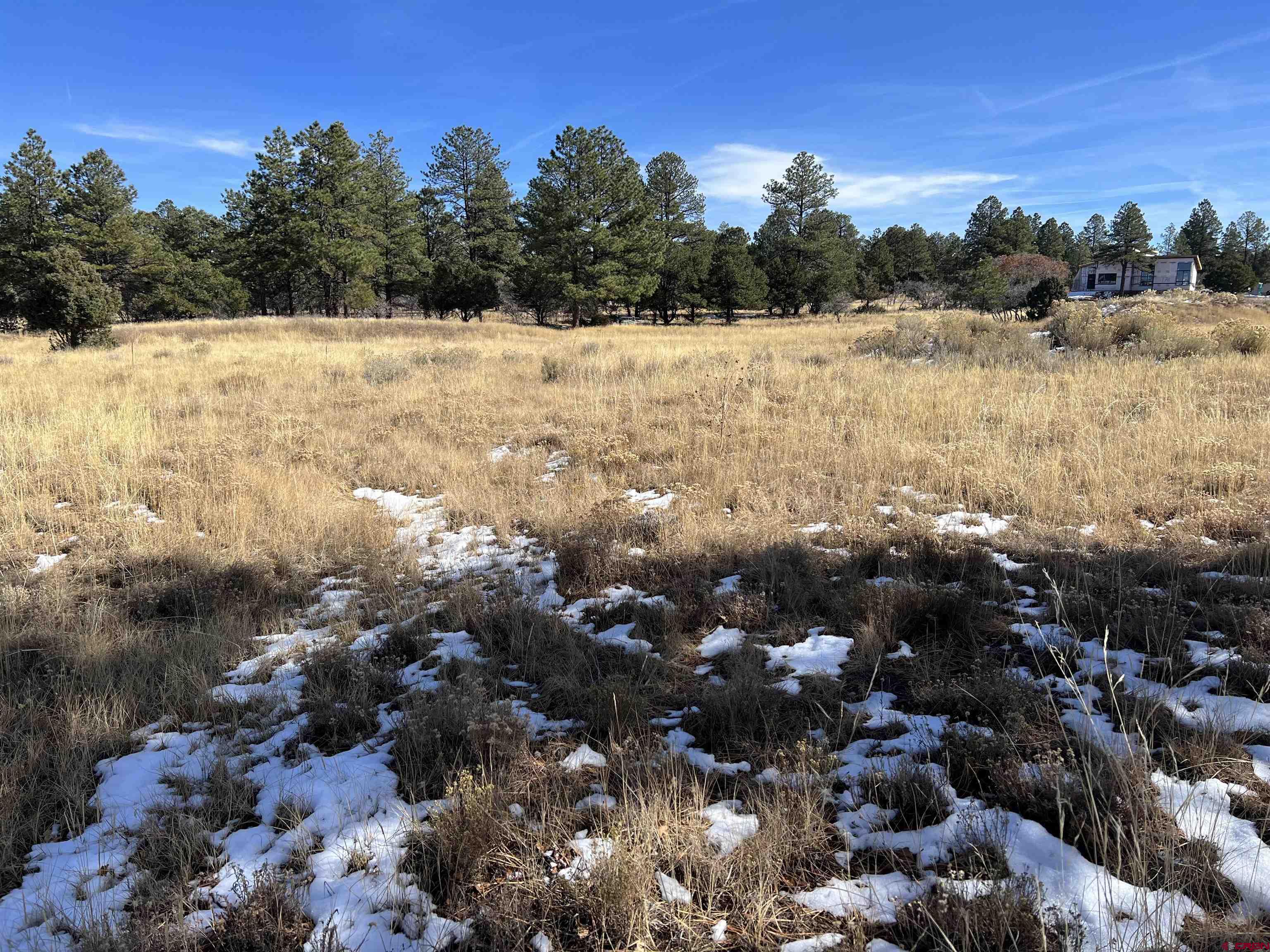 Lot 328 Bear Cub Drive Ridgway, CO 81432 - Photo 5 of 24 a view of a lake view