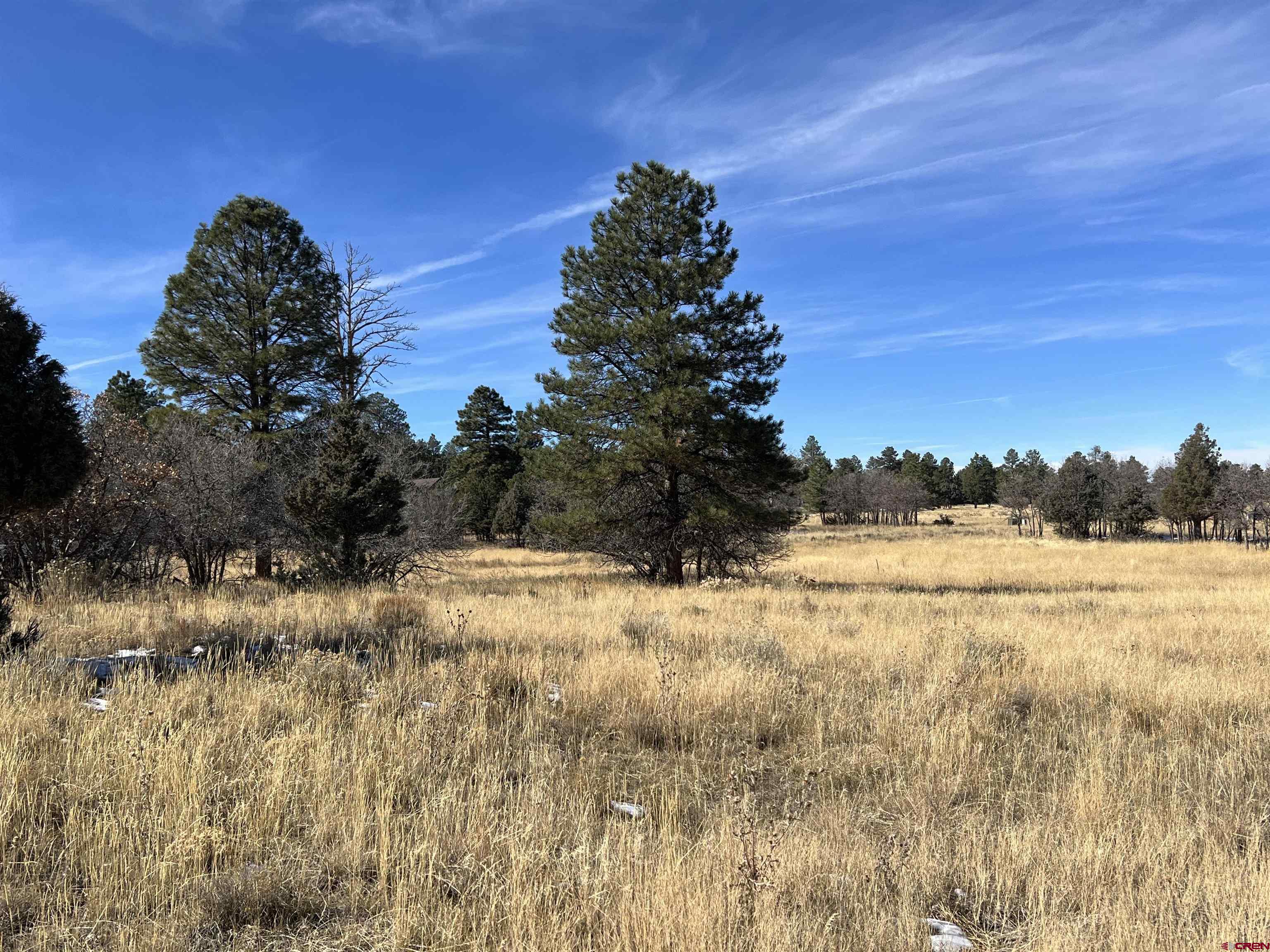 Lot 328 Bear Cub Drive Ridgway, CO 81432 - Photo 6 of 24 a view of ocean view with mountain