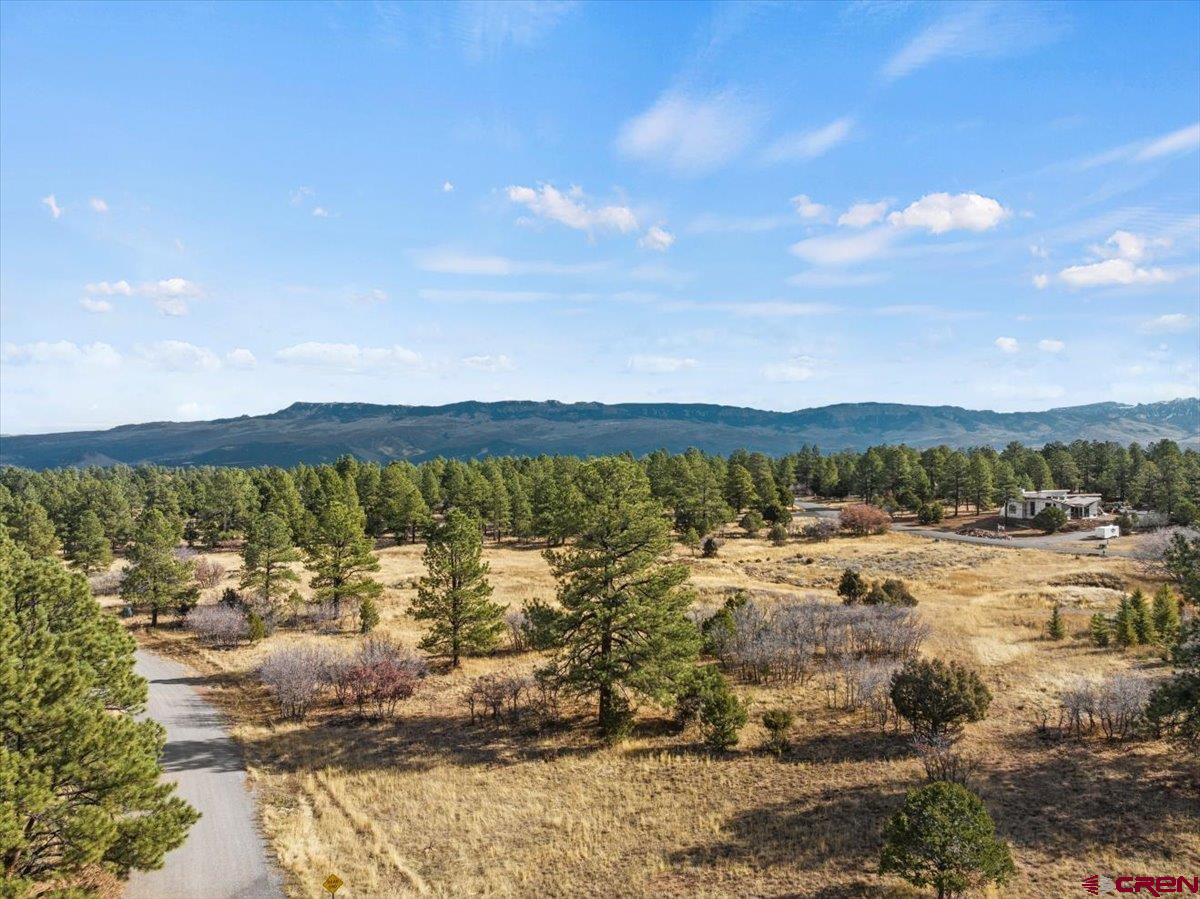 328 Bear Cub Drive Ridgway, CO 81432 - Photo 6 of 24 a view of a lake with a beach
