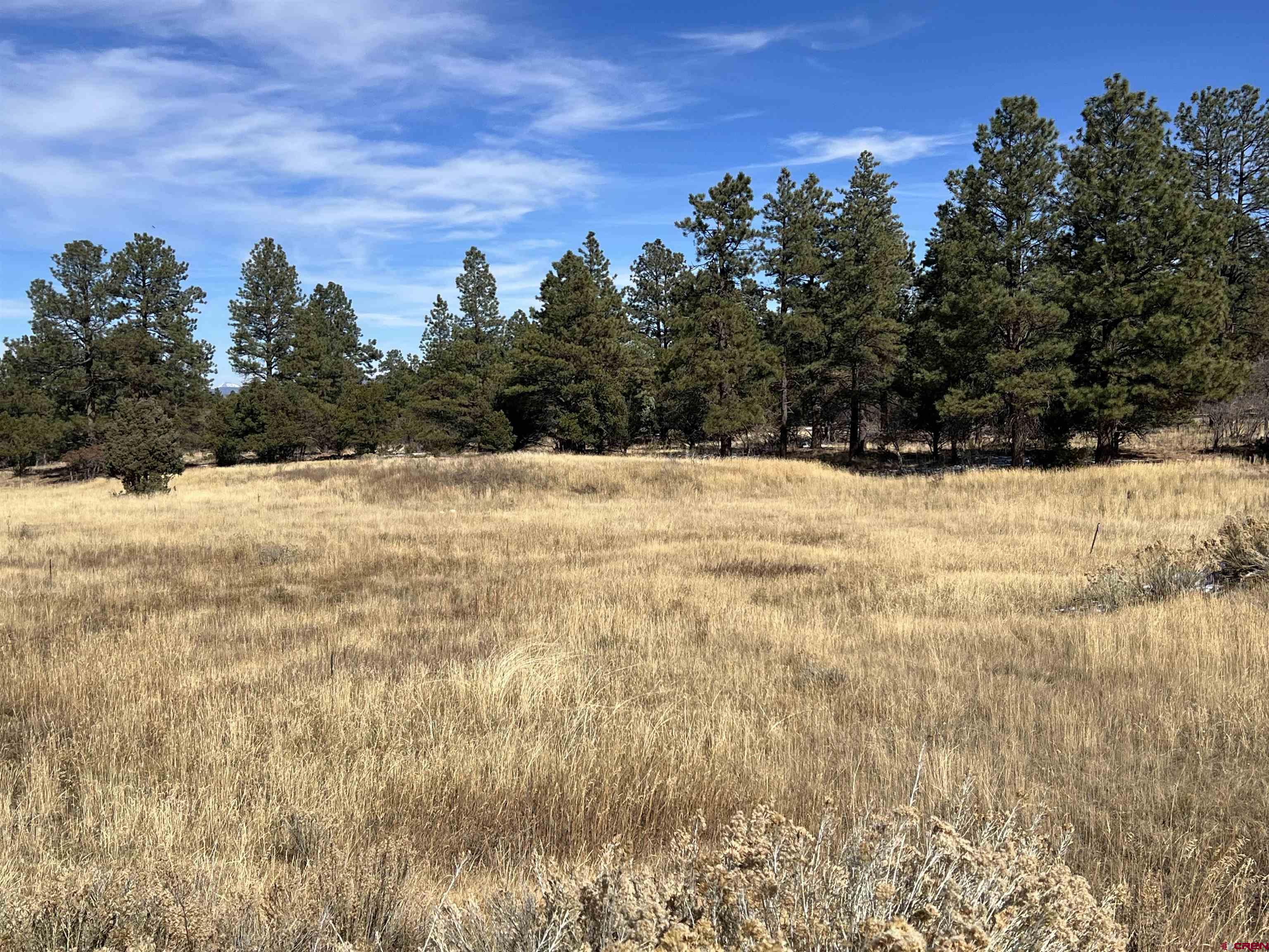 Lot 328 Bear Cub Drive Ridgway, CO 81432 - Photo 8 of 24 a view of ocean view