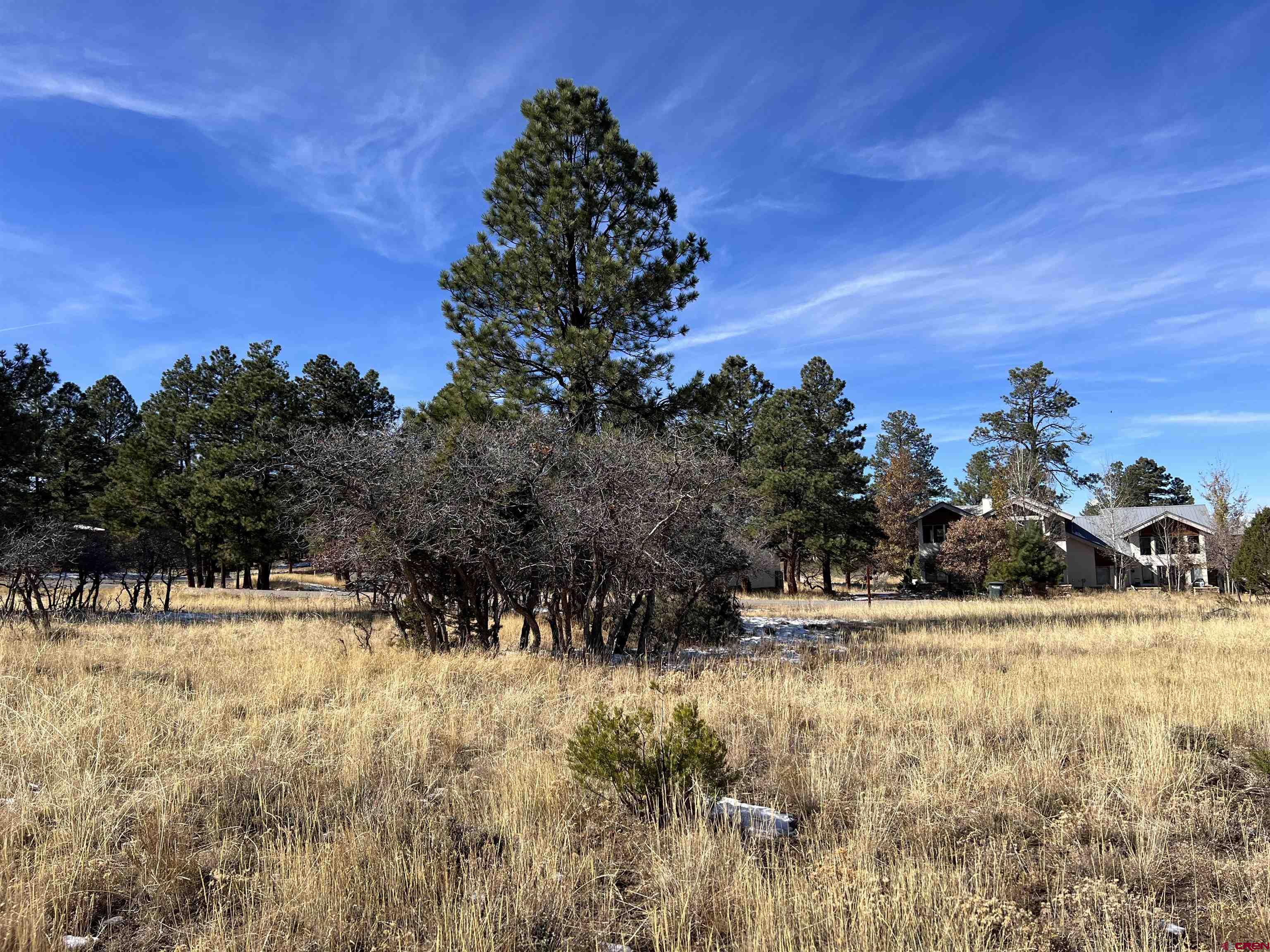 Lot 328 Bear Cub Drive Ridgway, CO 81432 - Photo 9 of 24 a view of a yard with trees in the background