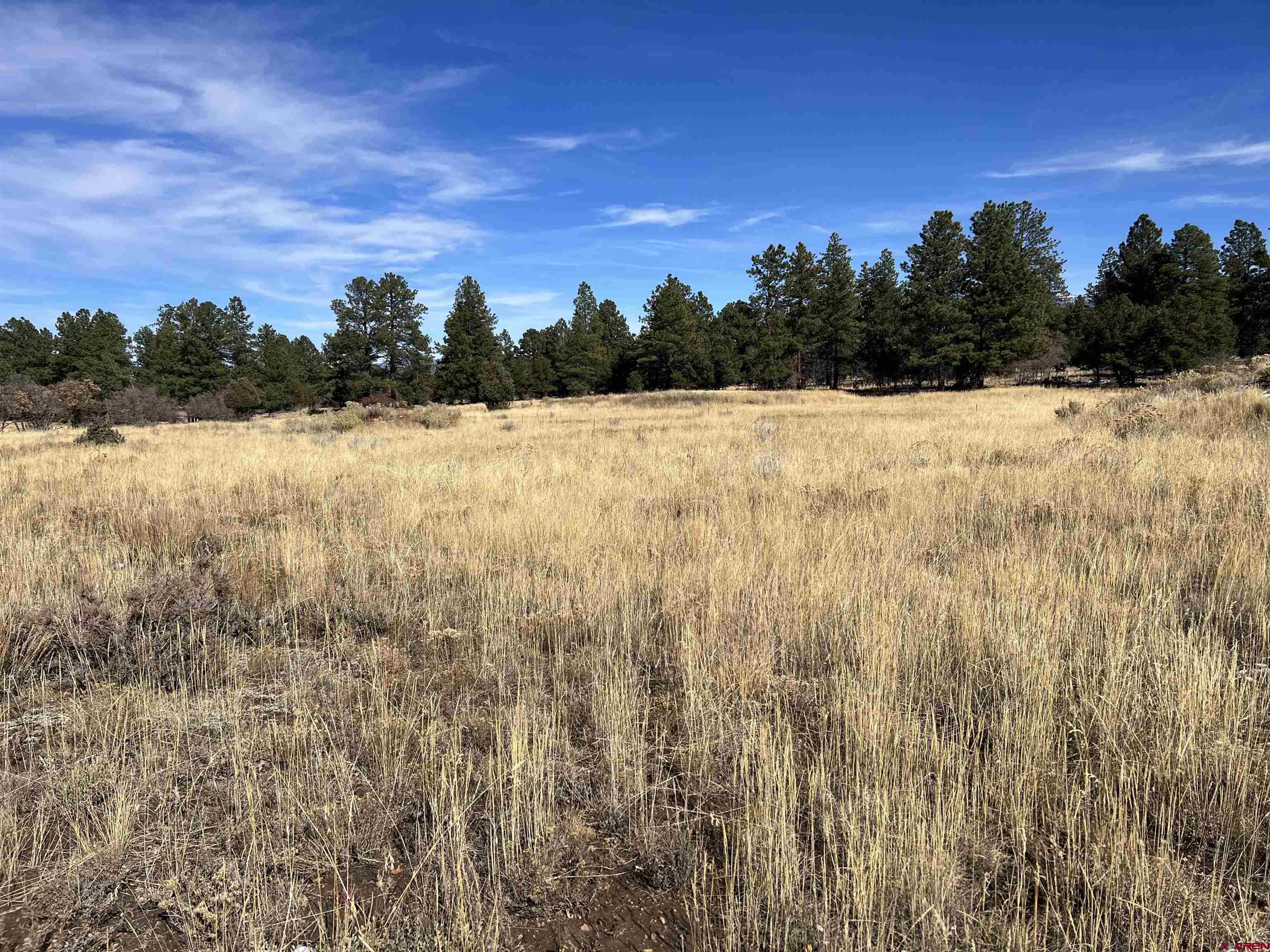 Lot 328 Bear Cub Drive Ridgway, CO 81432 - Photo 10 of 24 a view of a yard with trees in the background