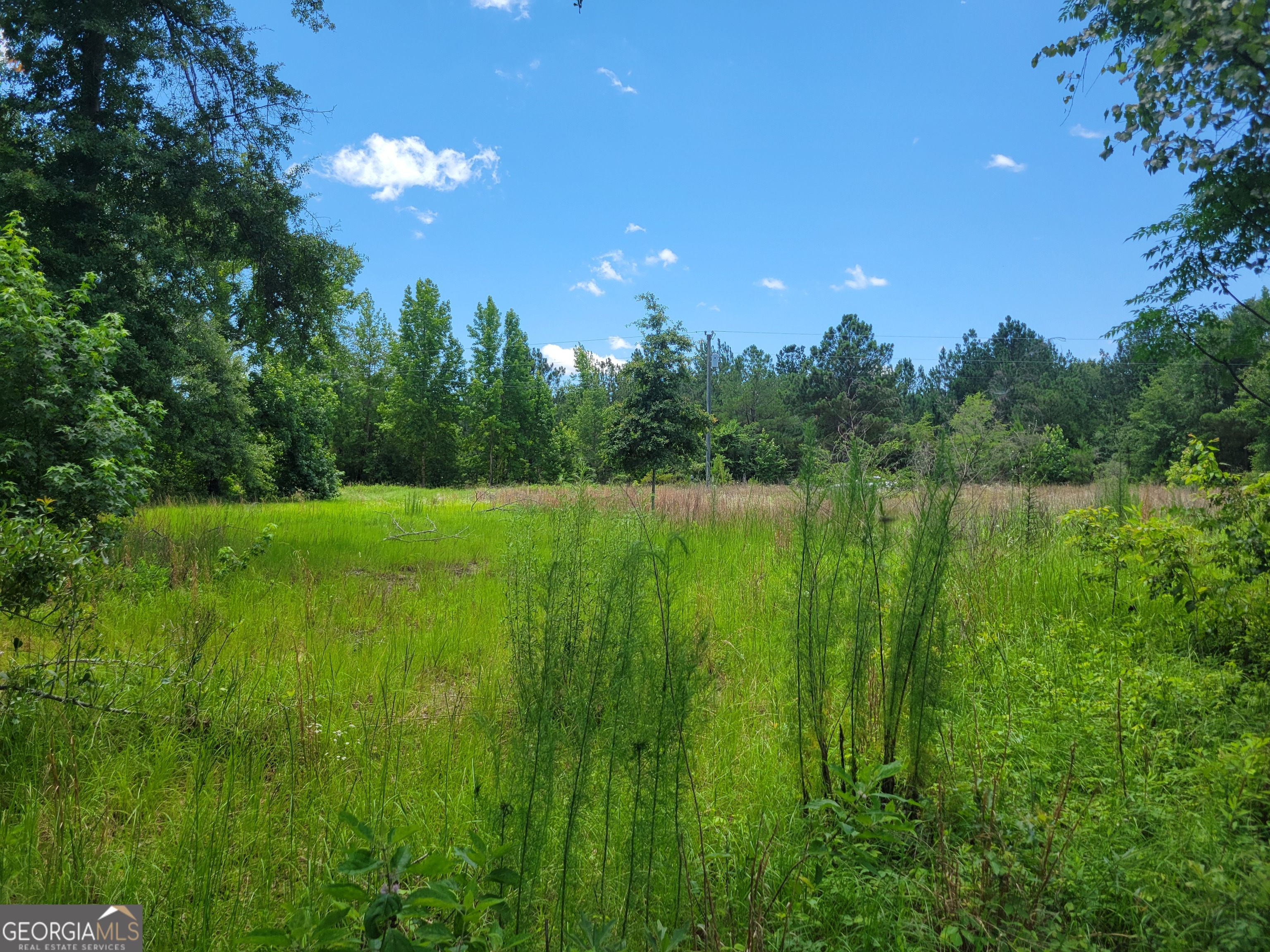 267 Quail Ridge Drive Adrian, GA 31002 - Photo 8 of 34