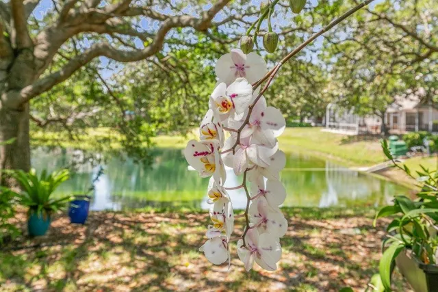 $544,999 | 123 Lions Gate Drive, St. Augustine, FL 32080