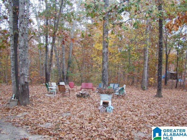 2040 County Road 40 Fruithurst, AL 36262 - Photo 30 of 31