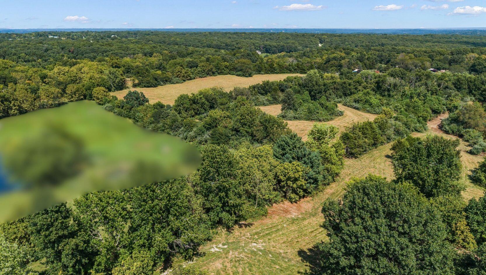 6 5.57 Ac State Road Holts Summit, MO 65043 - Photo 4 of 10 Gallery Image 4