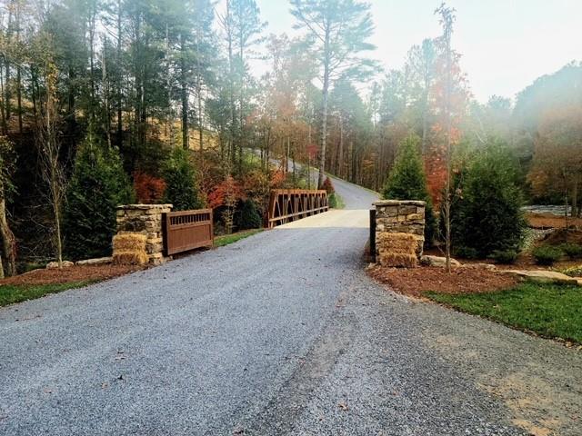 1230 High River Road Ellijay, GA 30540 - Photo 3 of 19 Gallery Image 3