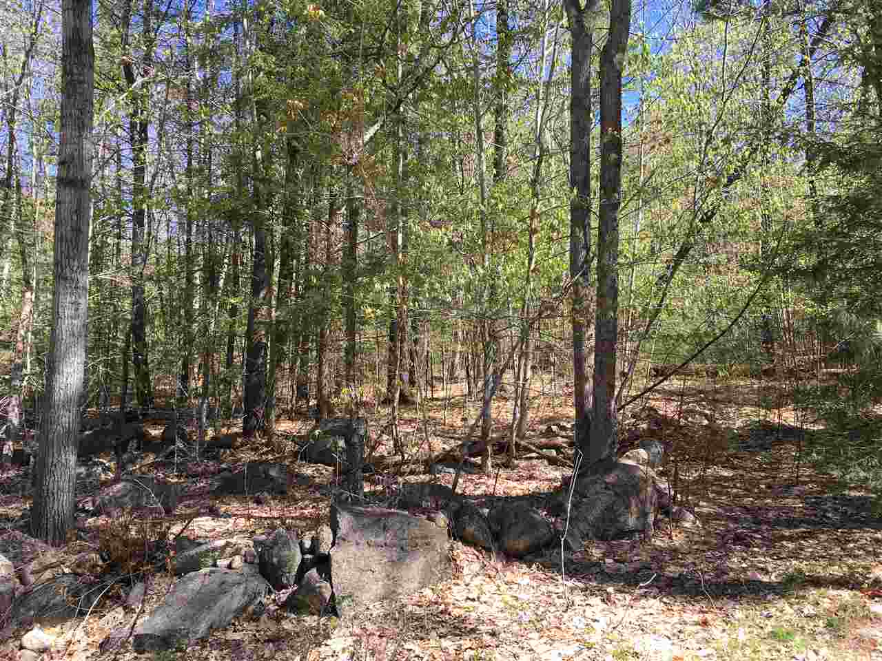 Old Colony Road Conway, NH 03818 - Photo 3 of 4 Gallery Image 3
