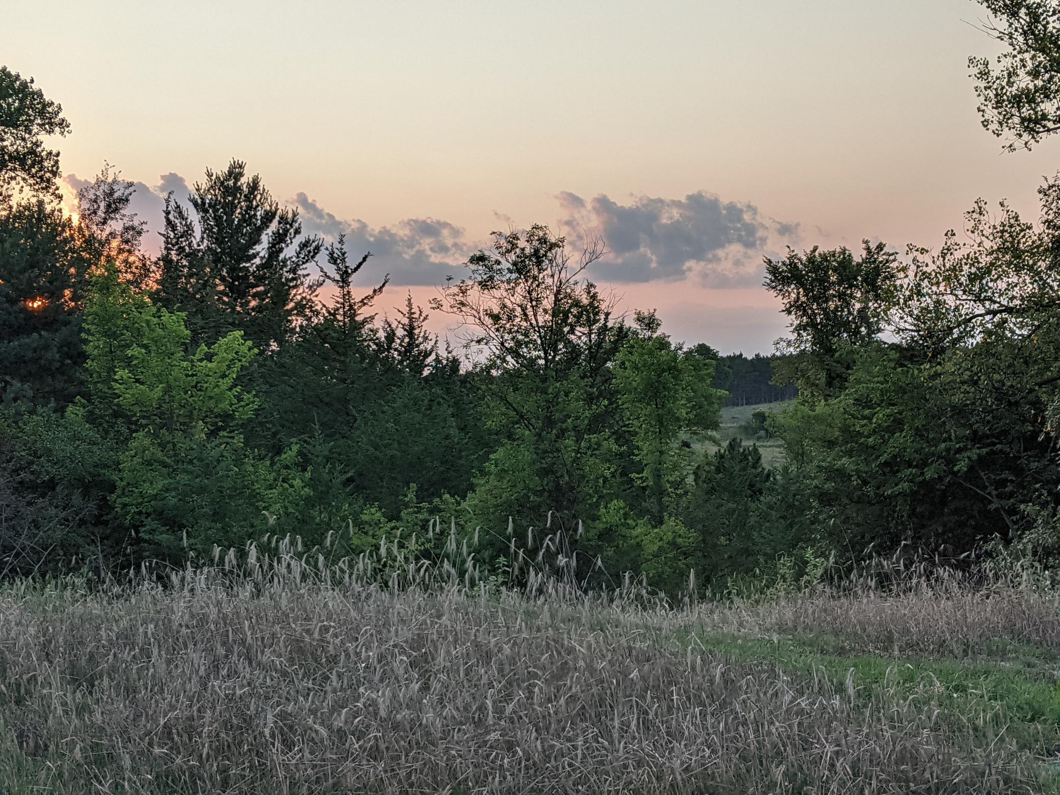 1002 Moon Glow Road Hudson, WI 54016 - Photo 11 of 28