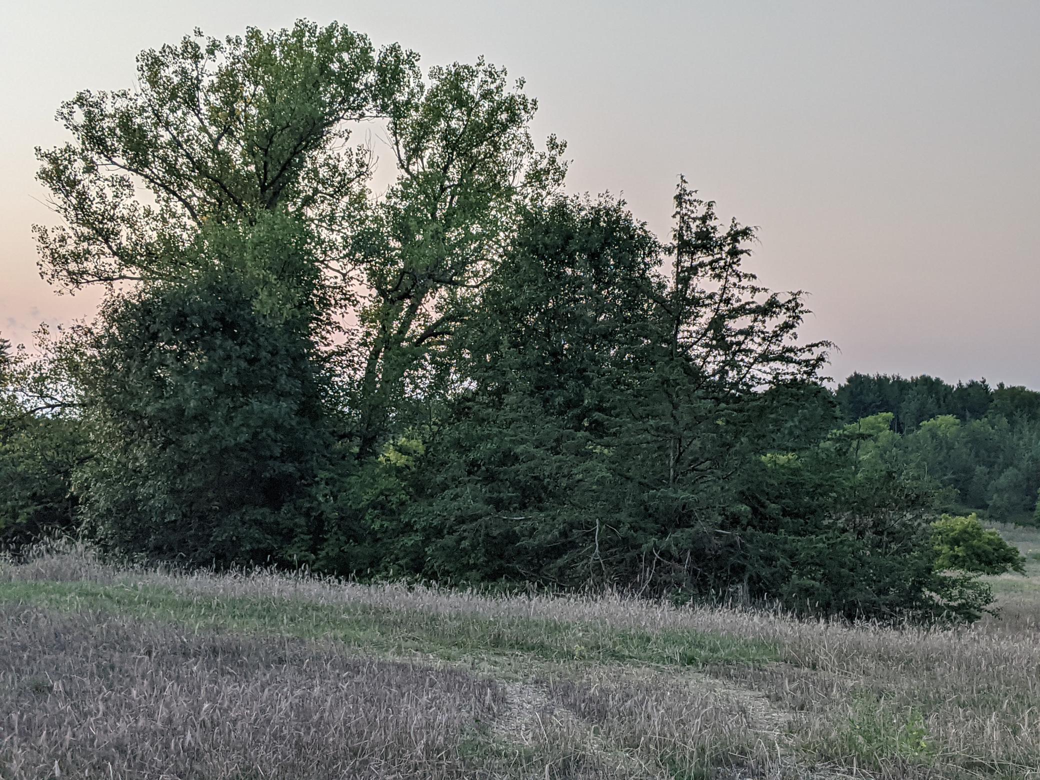 1002 Moon Glow Road Hudson, WI 54016 - Photo 12 of 28