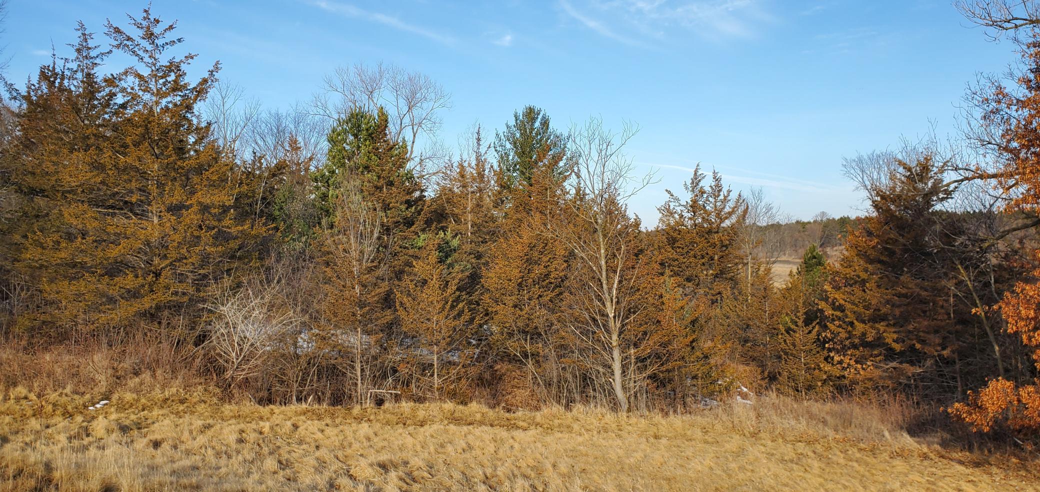 1002 Moon Glow Road Hudson, WI 54016 - Photo 14 of 28