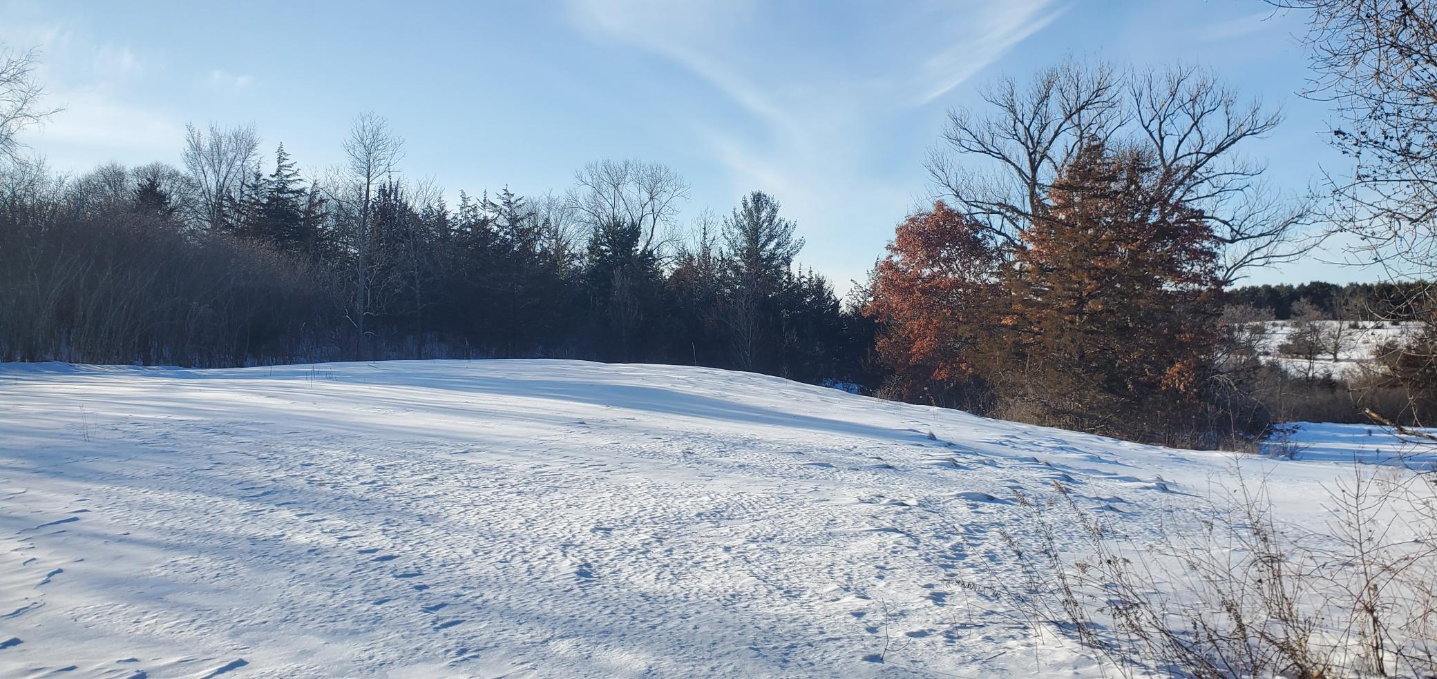 1002 Moon Glow Road Hudson, WI 54016 - Photo 27 of 28