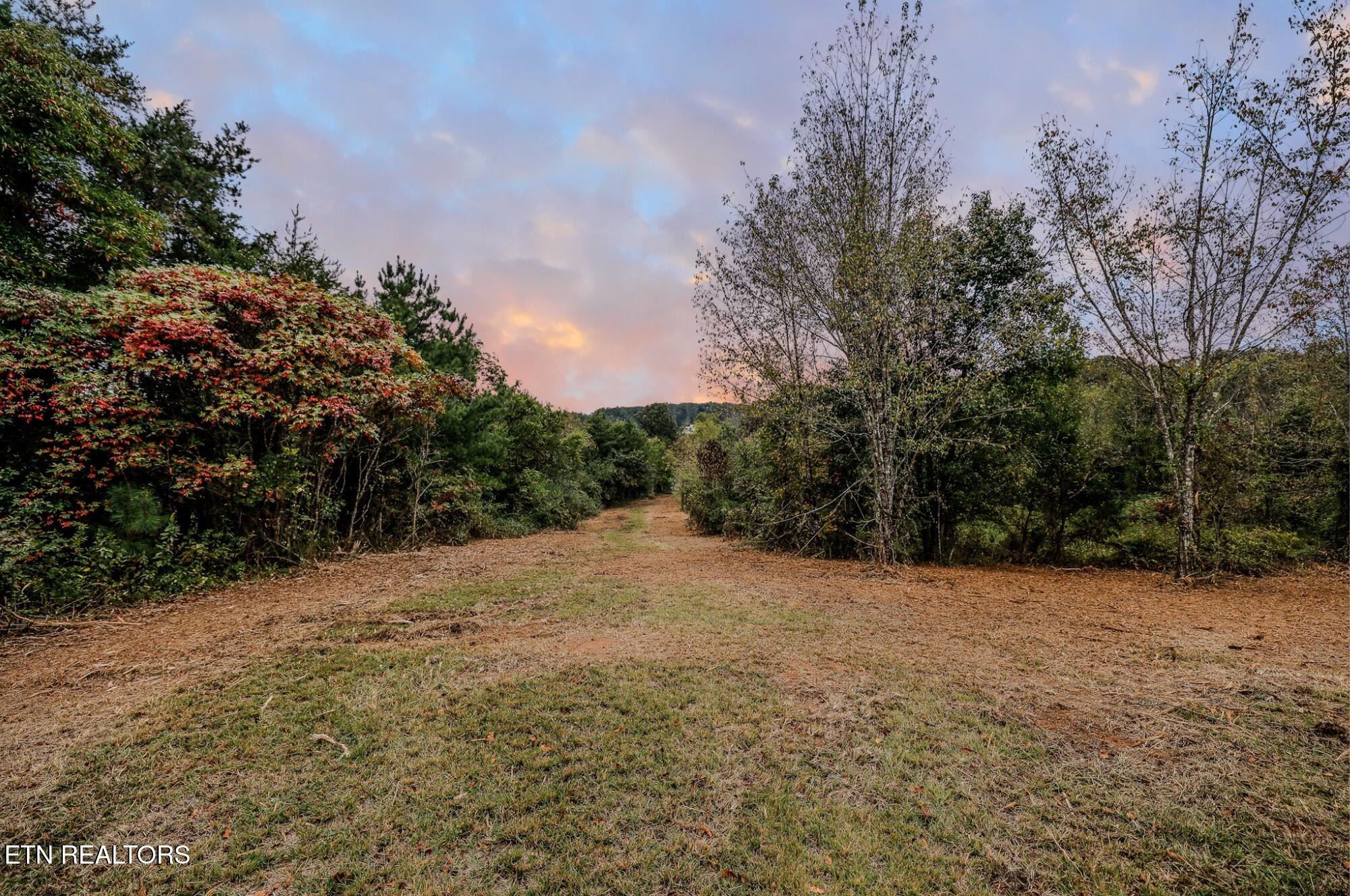 4732 Salem Road Greenback, TN 37742 - Photo 13 of 20 Gallery Image 13