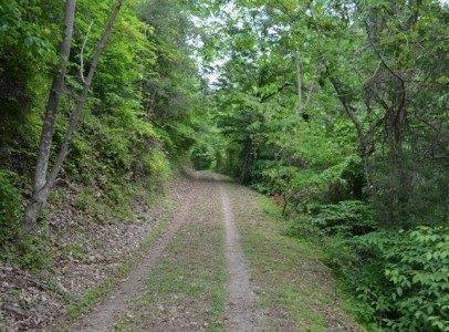 123 Jacobs Hollow Road Sneedville, TN 37869 - Photo 1 of 2 Primary Photo