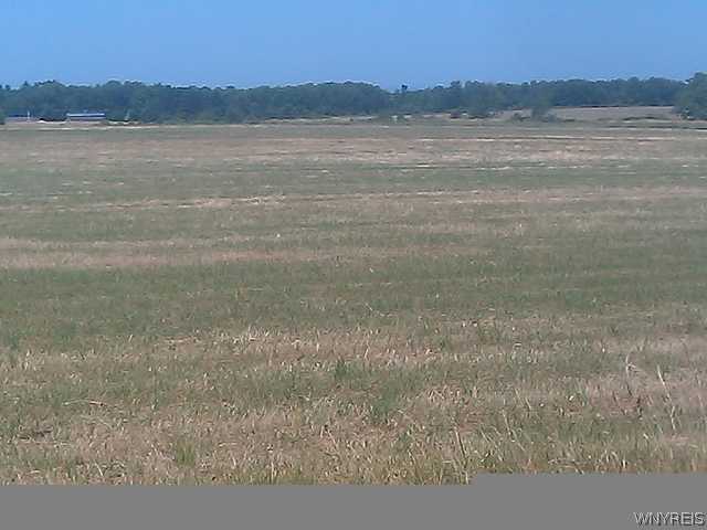 V/l Feddick Road Boston, NY 14025 - Photo 1 of 1 Land