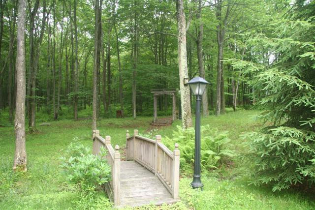 Poplar Road Pleasant Mount, PA 18453 - Photo 5 of 15